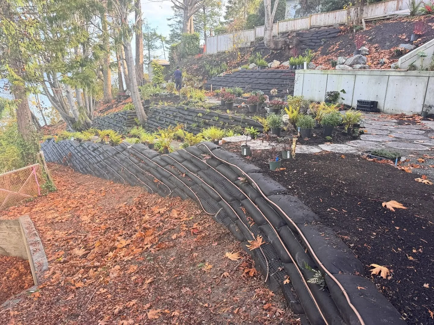 What a perfect Autumn day to plant! Excited to be dressing our latest installation with a matrix of lush native and Pacific Northwest  plantings in our clients&rsquo; Nordic spa hideaway.