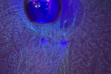 Conversations with the Artist | Karen Sewell