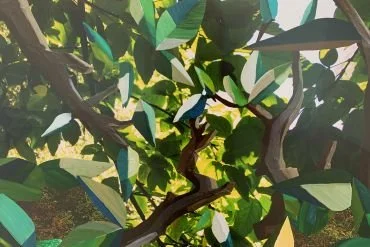 Kate Woods Exhibition Review