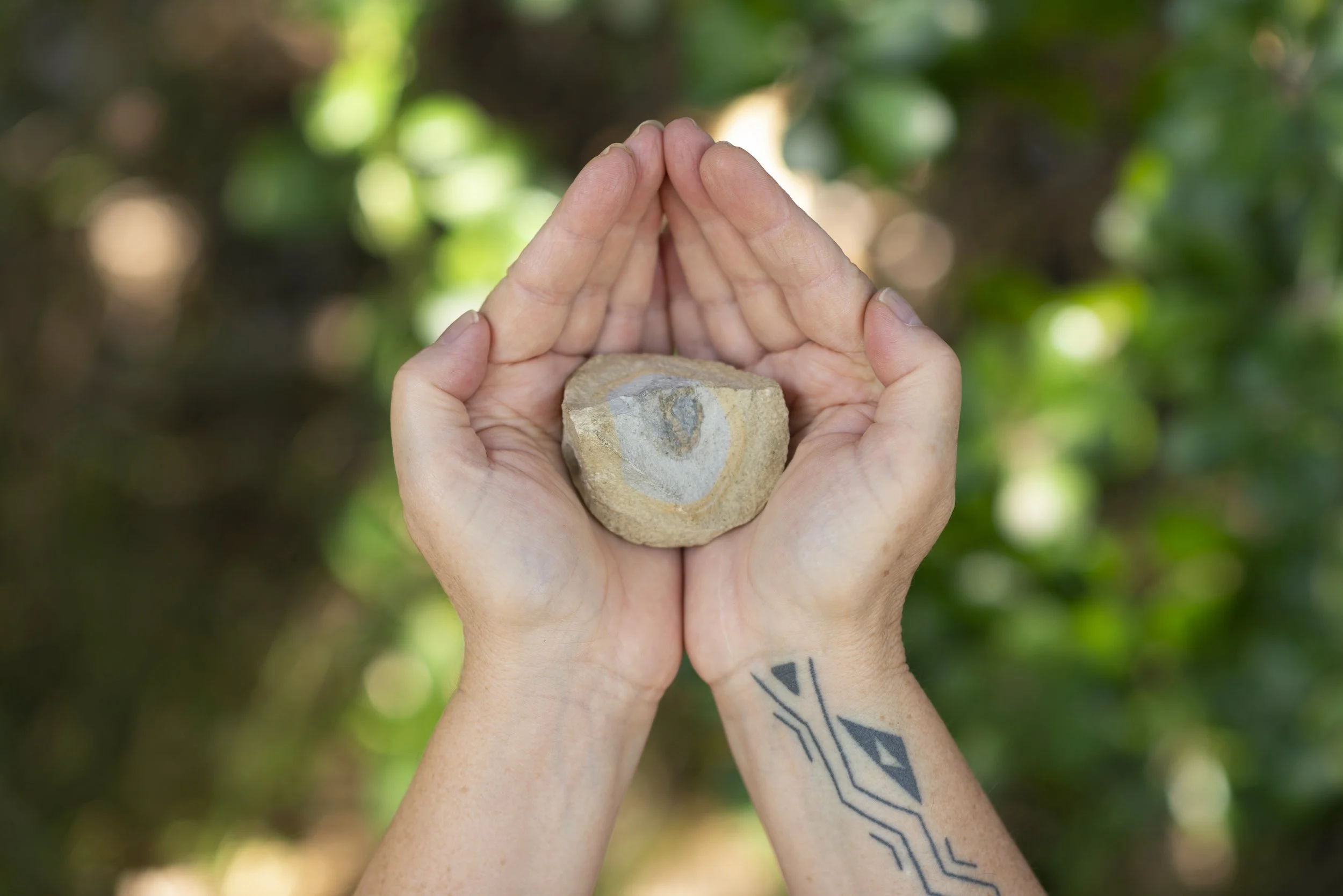 Conversations with the Artists | Natalie Robertson &amp; Suzanne Tamaki