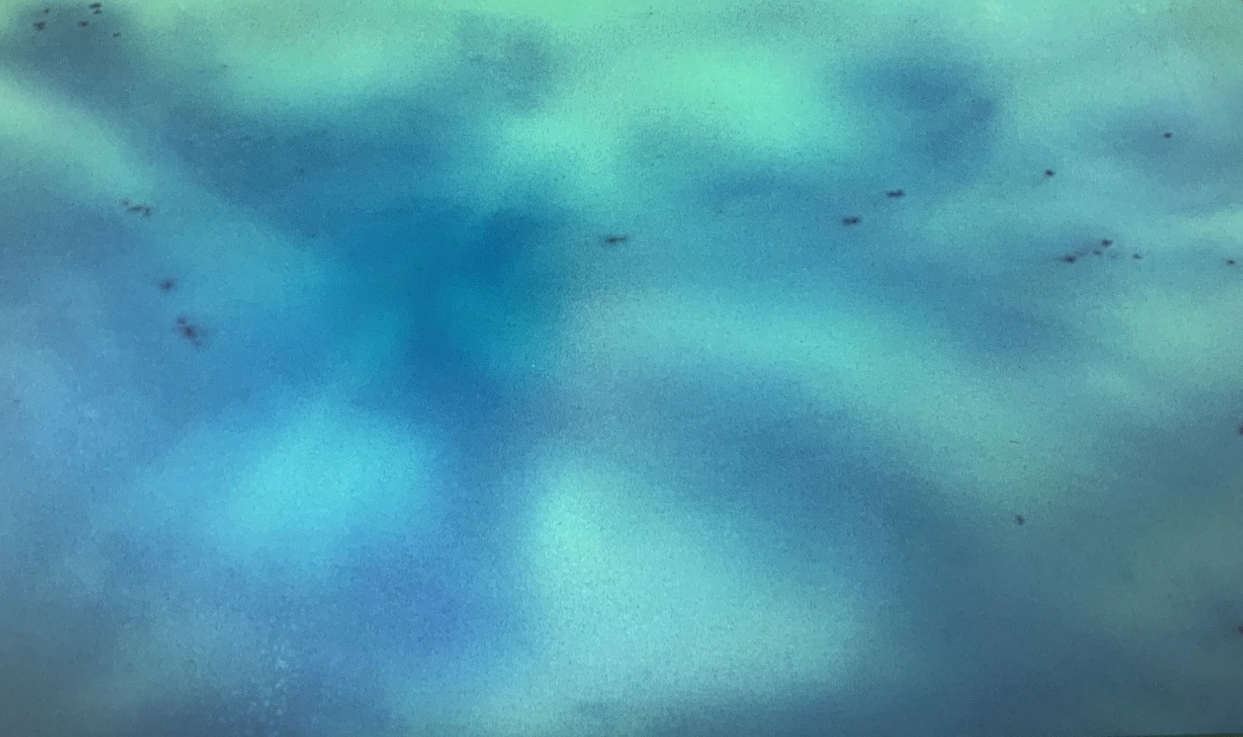 Upcoming Exhibition | Kiran McKinnon 'Floodlines'