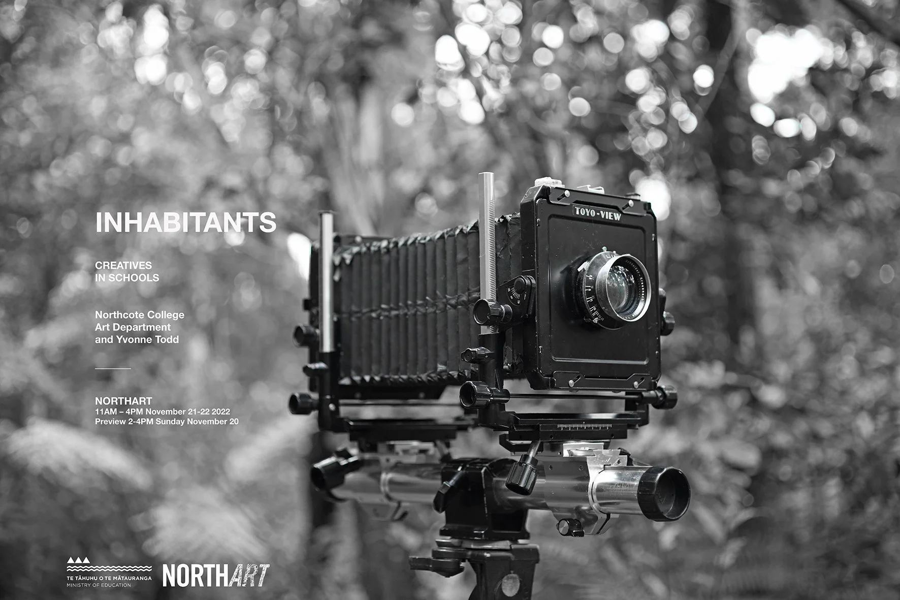 Creative in Schools Programme 