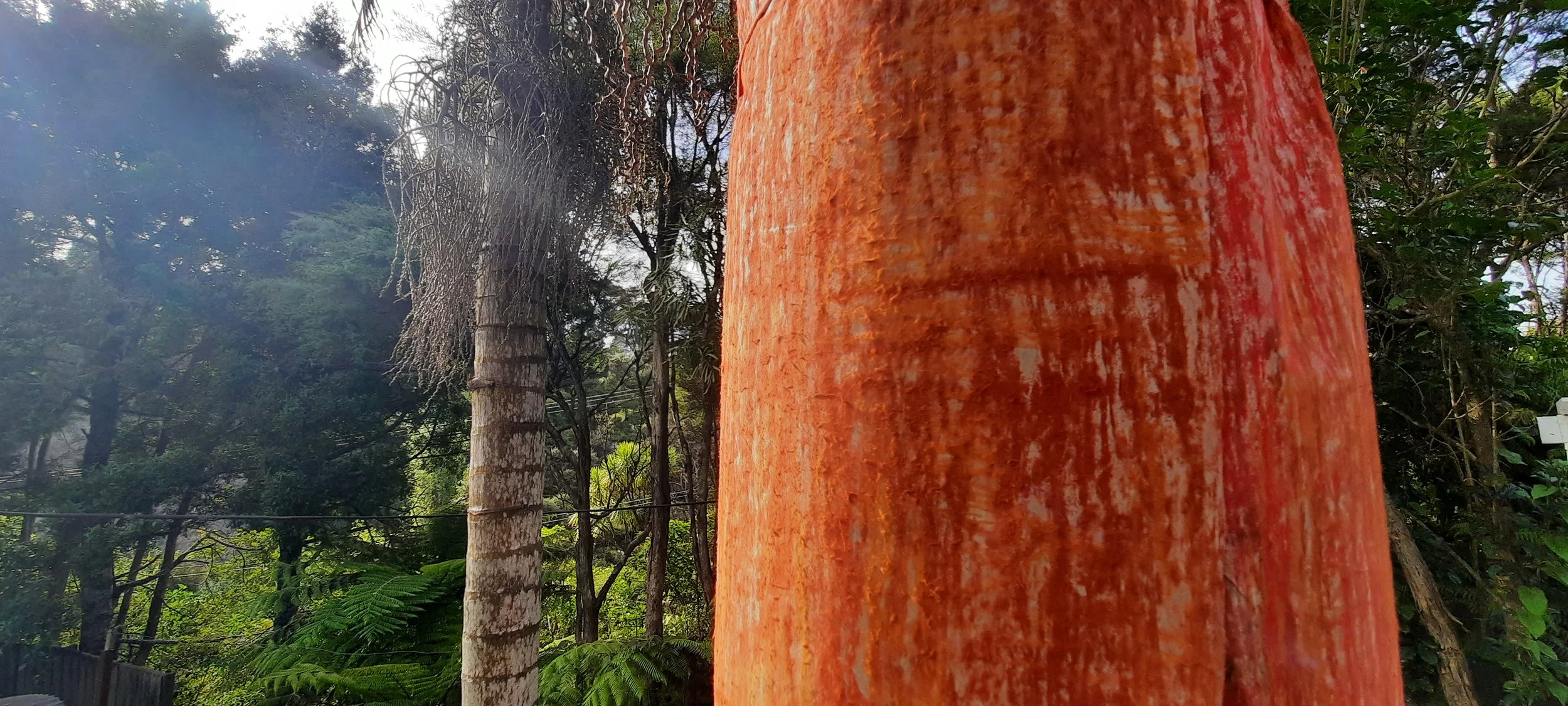 NORTHART’s kaupapa for 2024 is the Ultra Local.