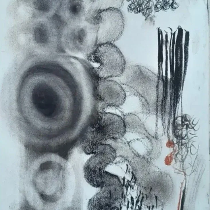 📣Workshop alert!
Northart is running a series of mark making workshops in conjunction with our members works on paper exhibition. These will be lively and a great way to unlock your expressive self! Suitable to all levels of skill. Check out the lin