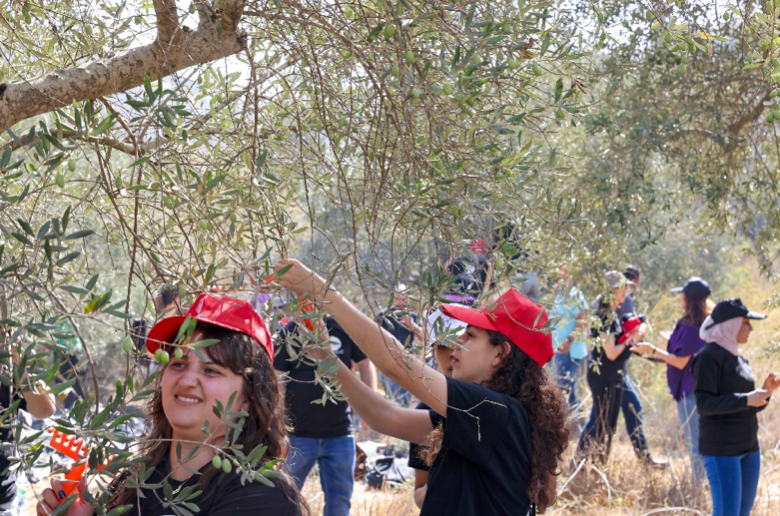 Screen Shot 2022-12-20 at 11.17.26 PM.png