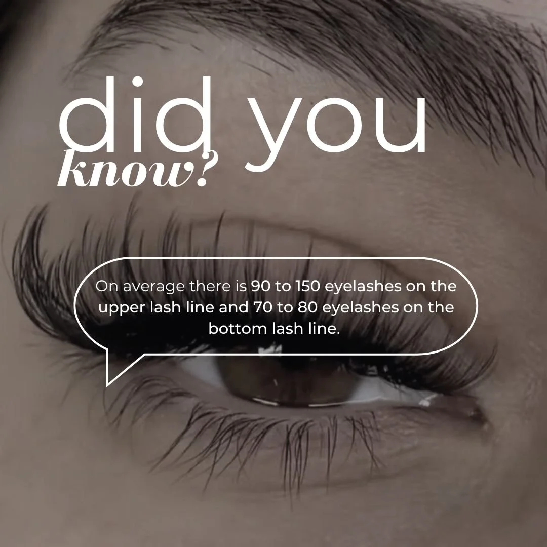 Did You Know?…Lash Facts