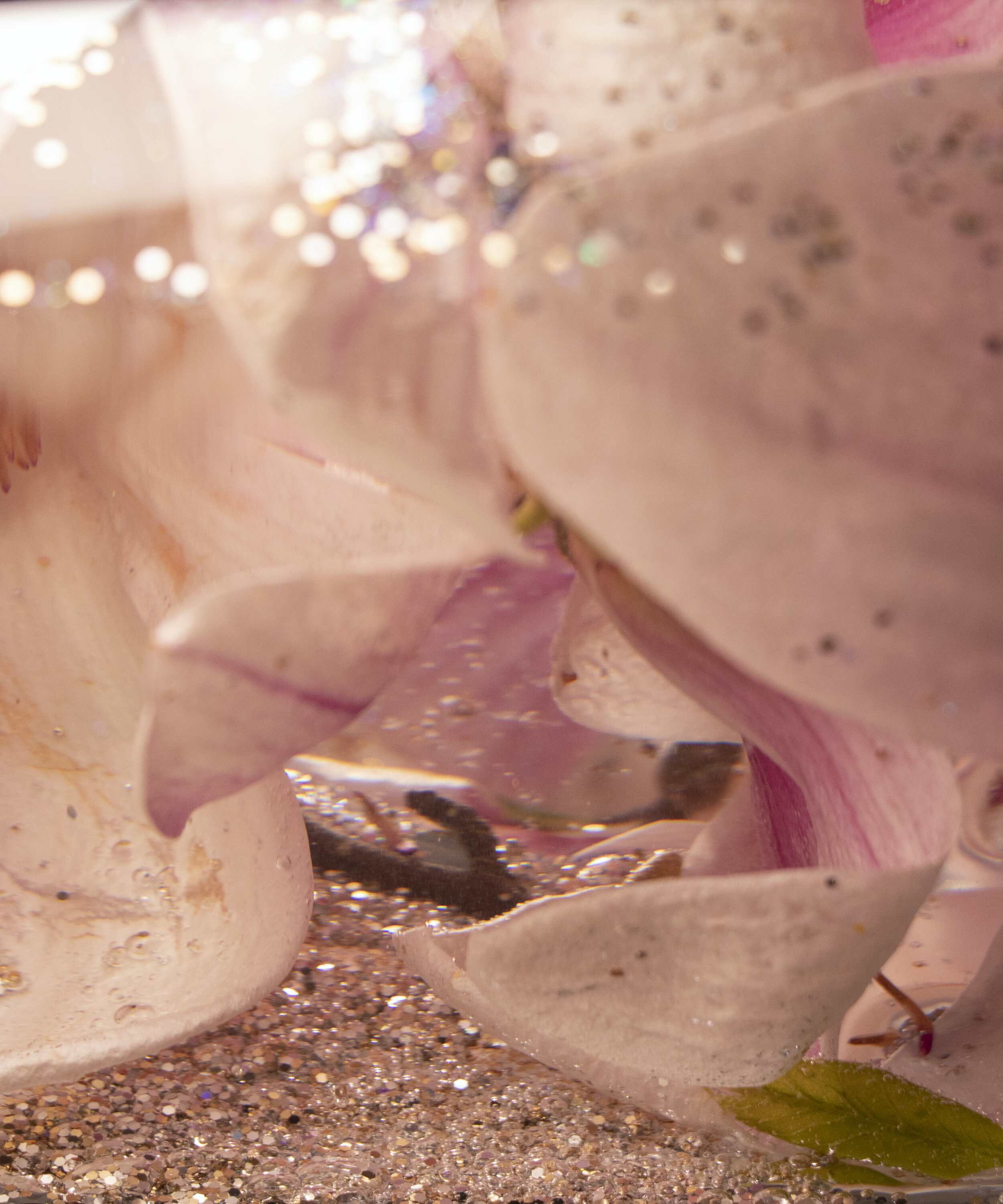 glittery surface.jpg