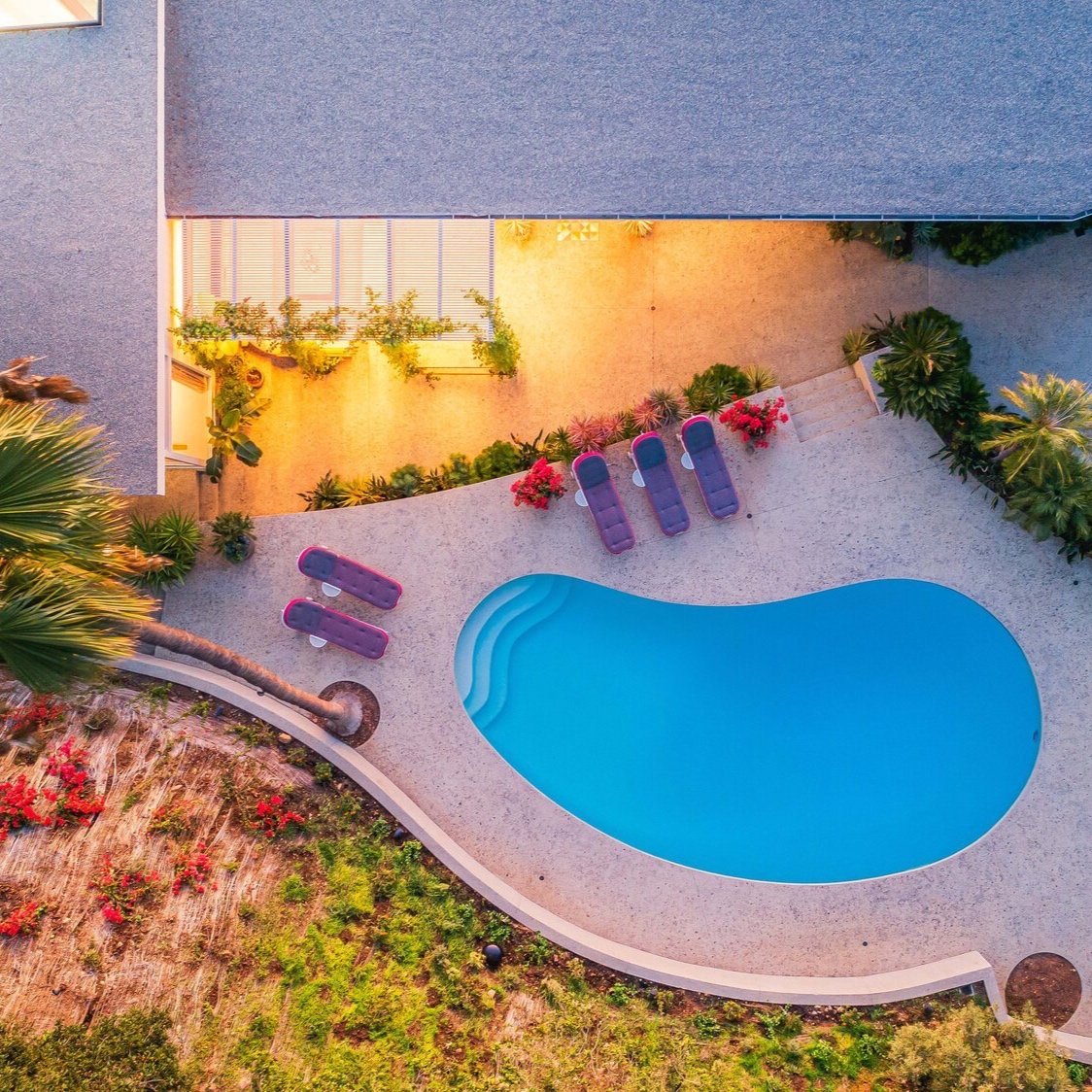 image-asset.jpg