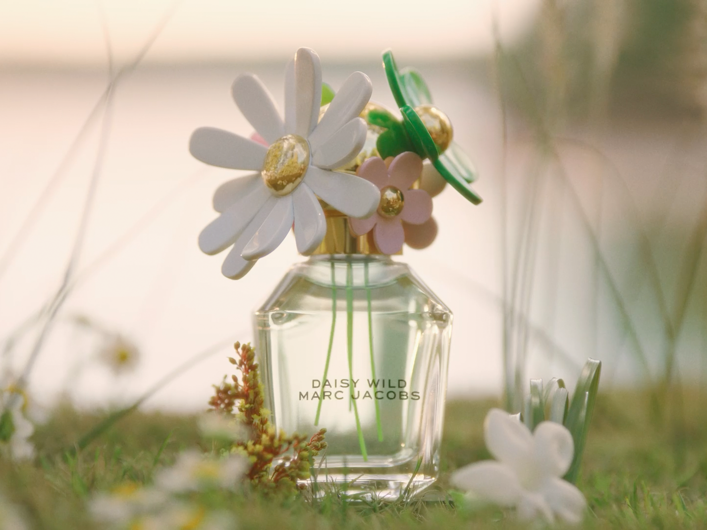MarcJacobs-DaisyWild-01.png