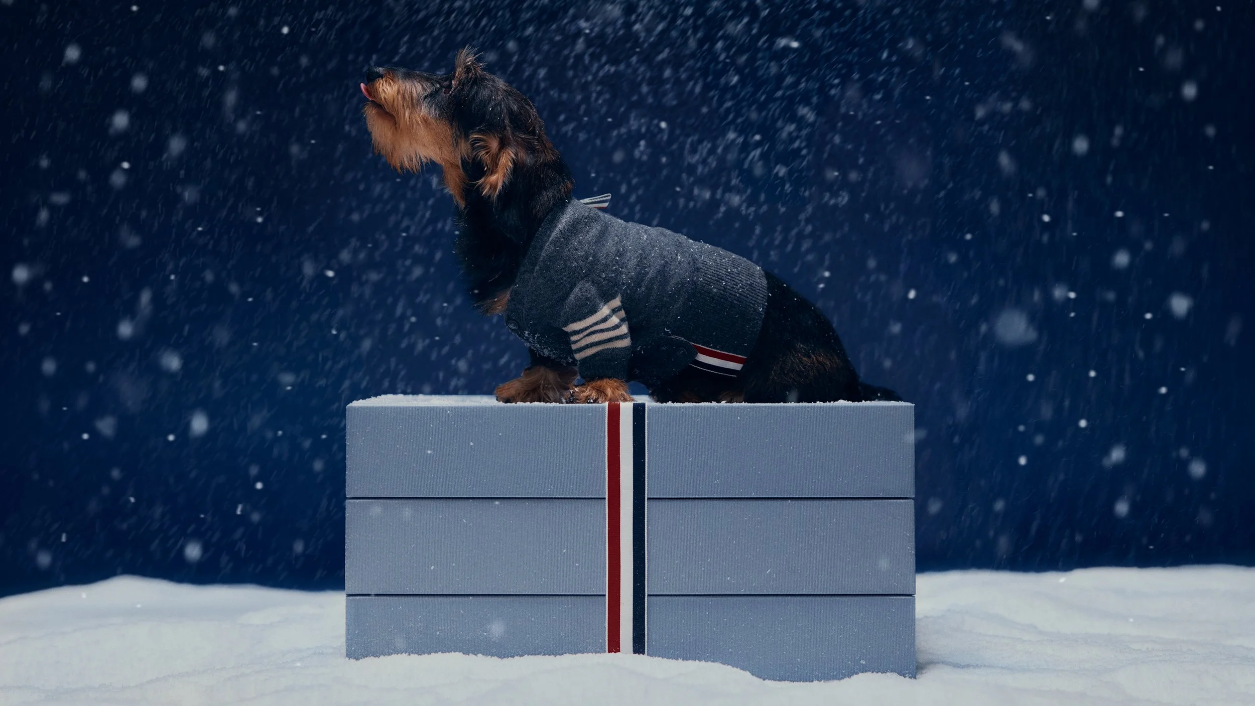  THOM BROWNE 
HOLIDAY