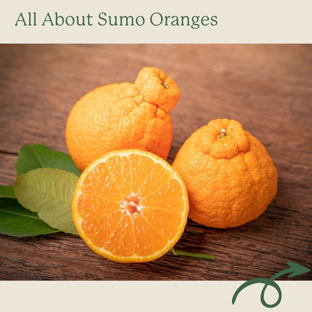 Have you tried Sumo Oranges yet?

As winter bids adieu and spring begins to blossom, there's one citrus sensation that steals the spotlight &ndash; the mighty Sumo Orange 🍊

This seasonal delight is not just a treat for the taste buds; it's a burst 