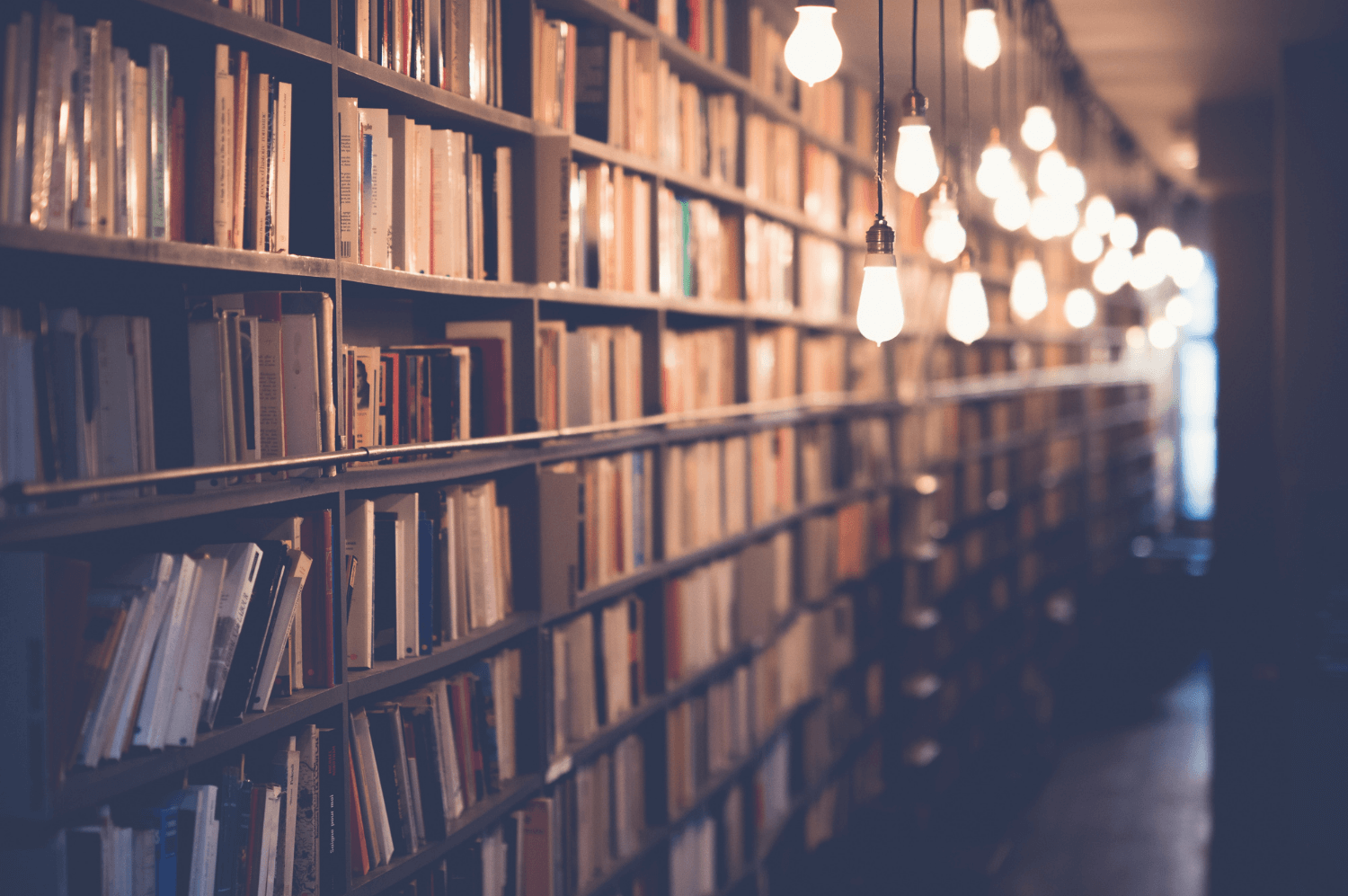 Unleash Your Creative Depths: Write a Business Book Part I