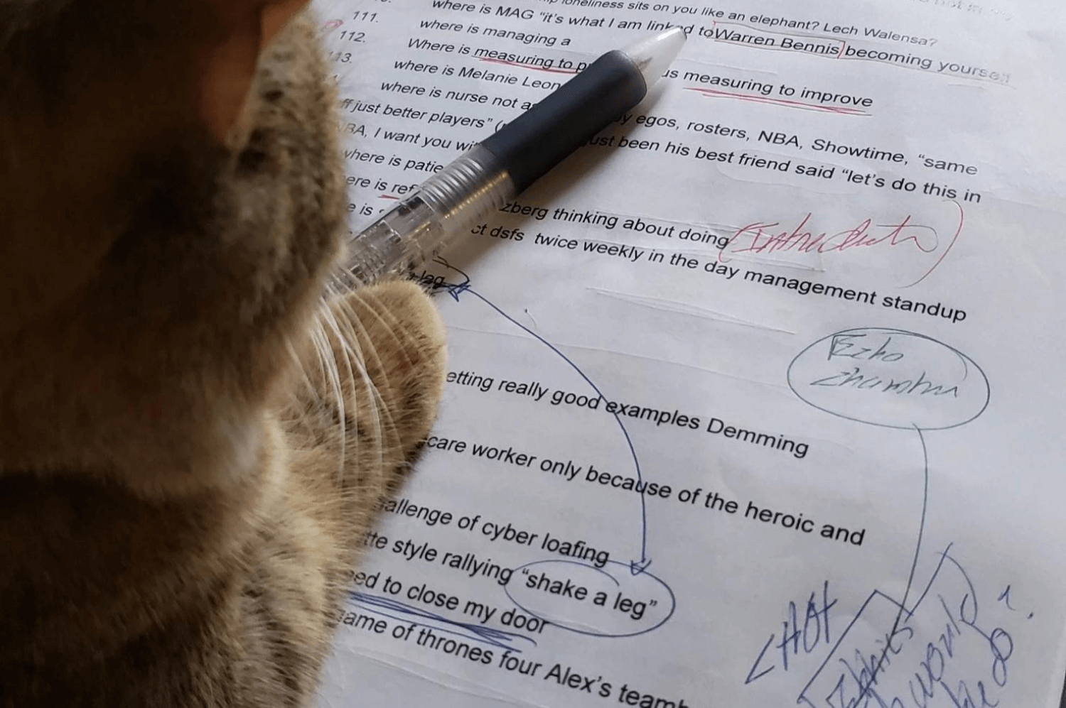 Unleash Your Creative Depths: Write a Business Book Part II
