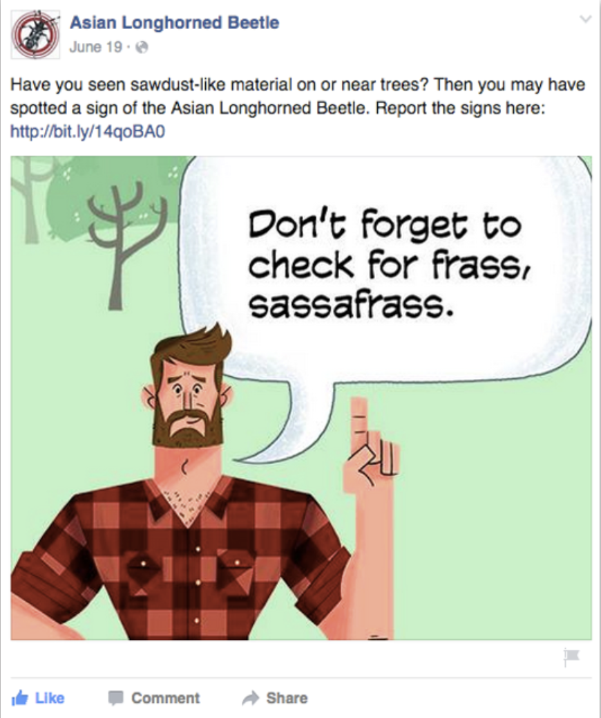 ONION_BURGER_167.jpg