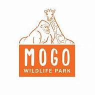 Mogo Zoo.jpg