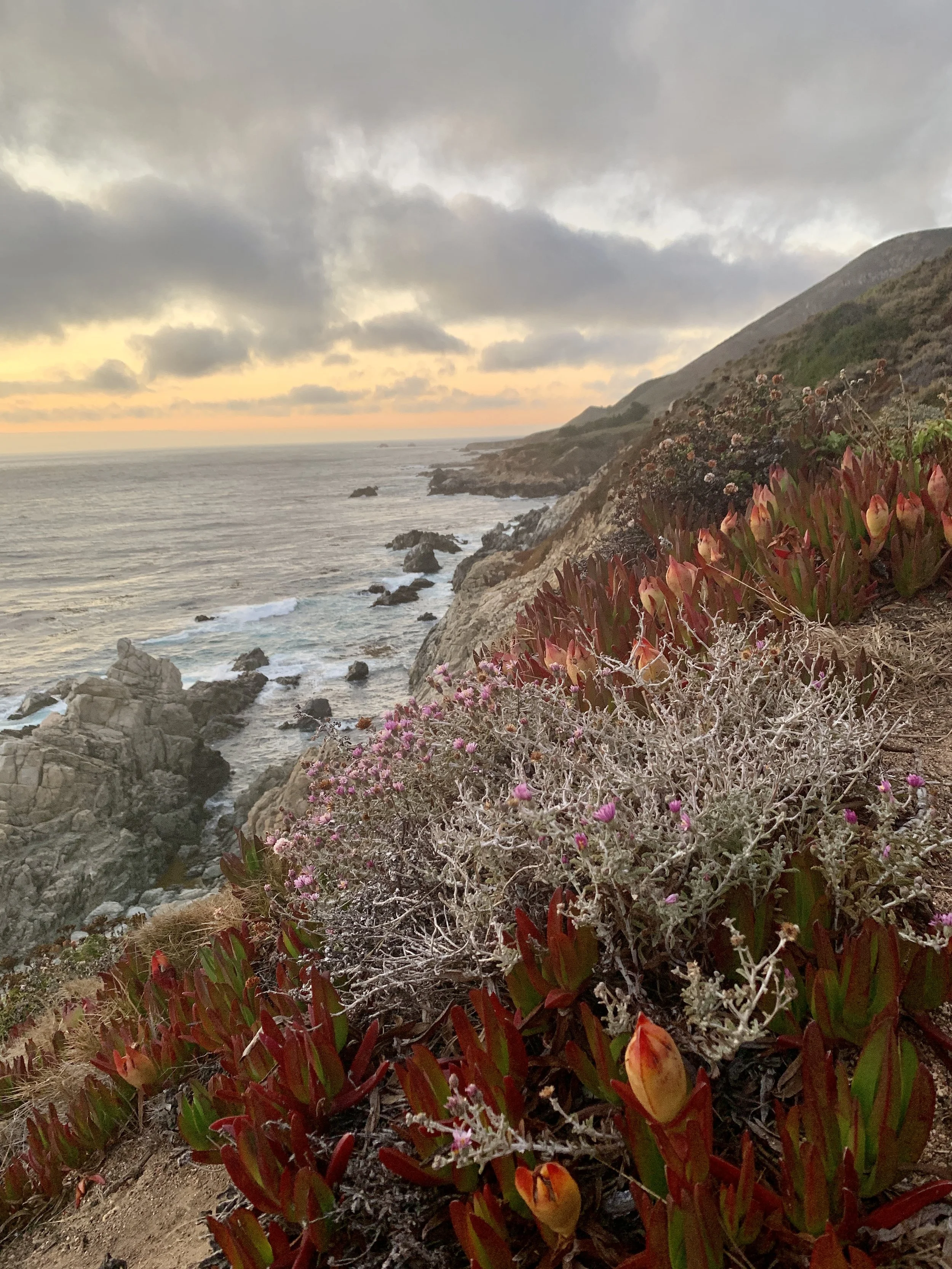 Esalen Retreat- While The Veil is Thin: Autumn Ritual with Land, Ancestry, and Spirit