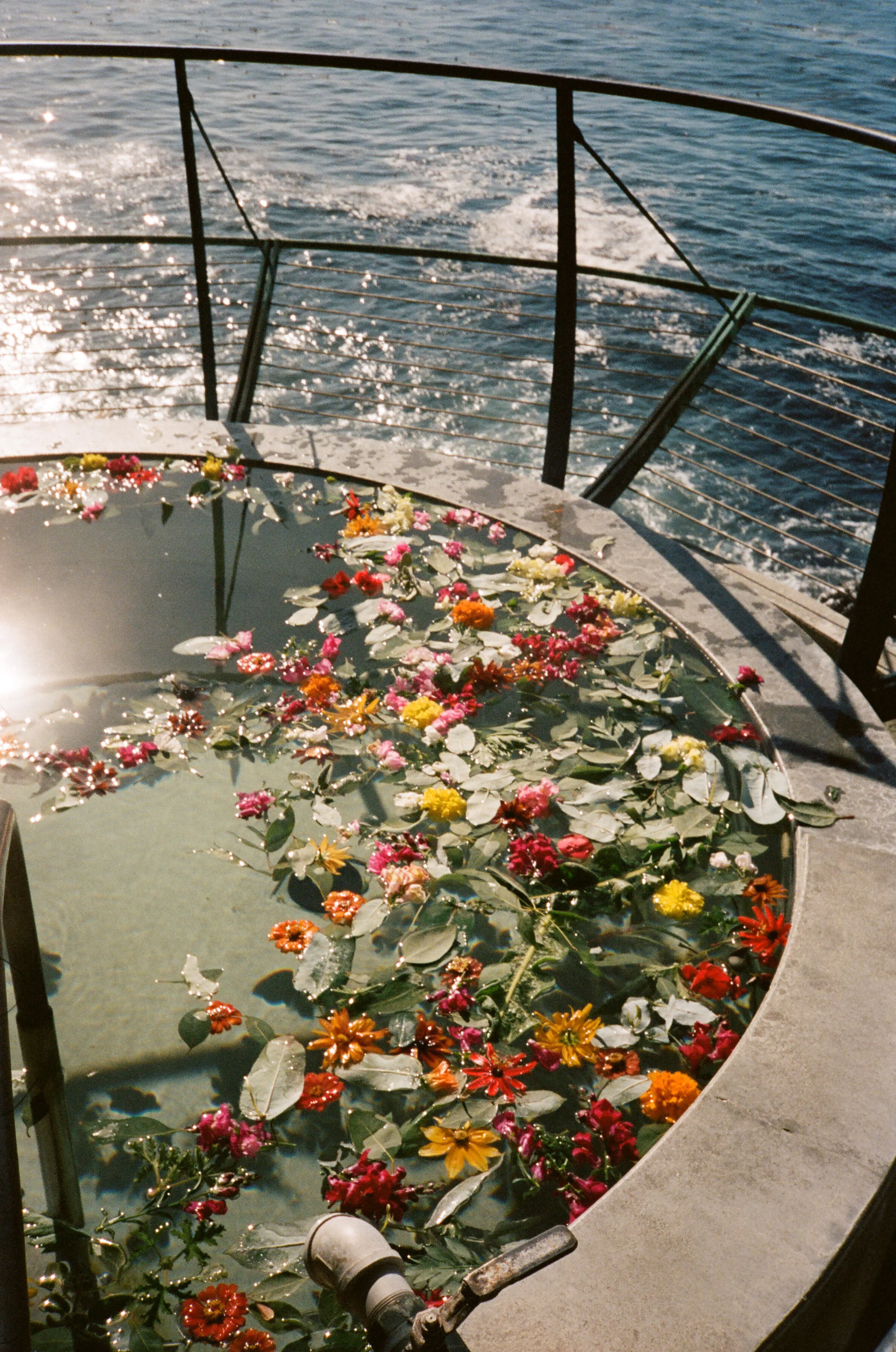 Esalen Retreat- A Midsummer's Dream: Flower Baths, Sound Journeys, and Herbal&nbsp;Magic