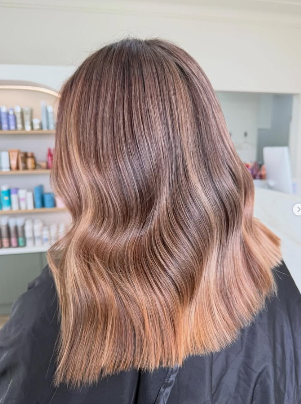 Screenshot 2026-02-27 150406.png