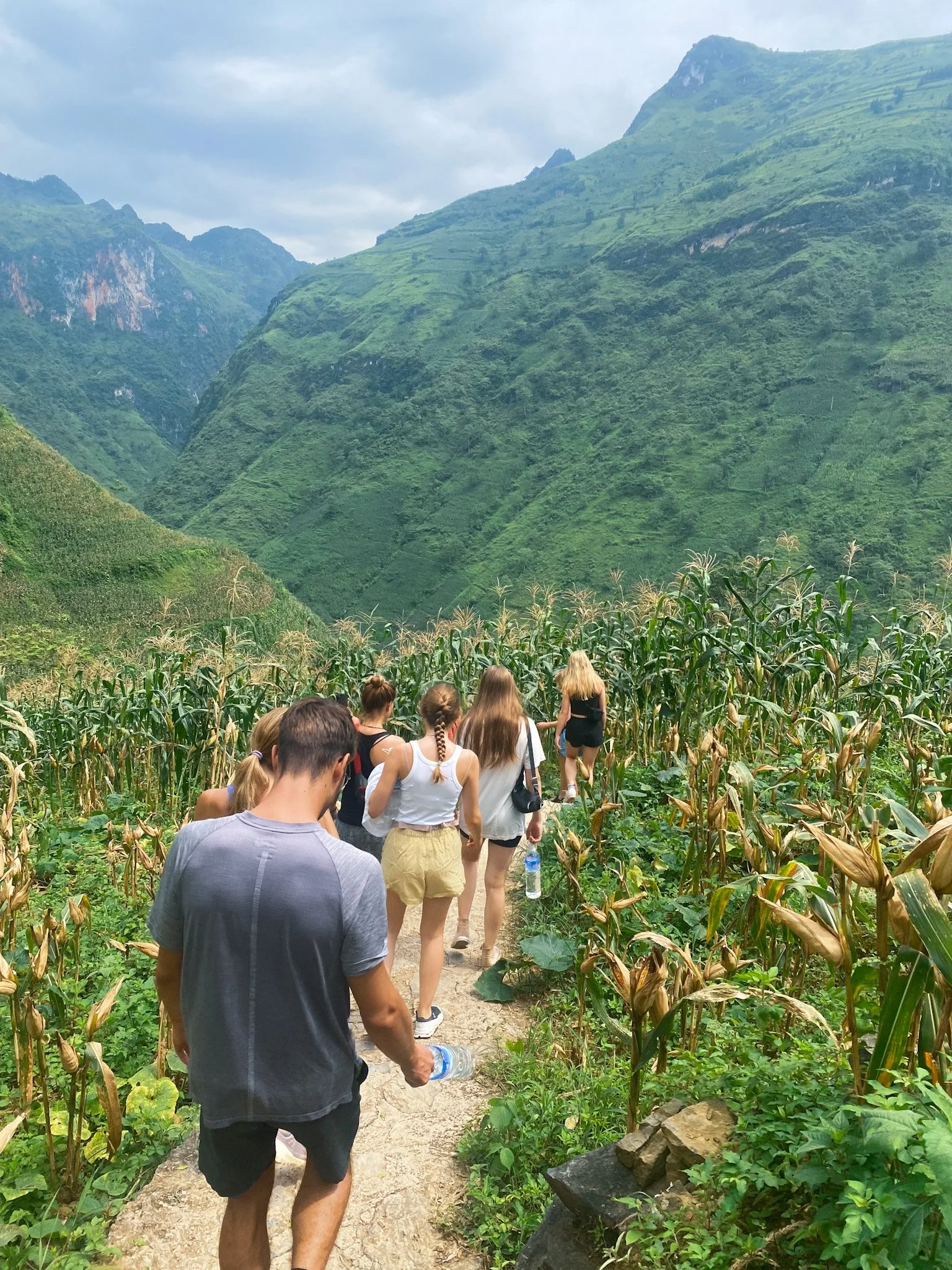 Hiking through cornfields in Dong Van