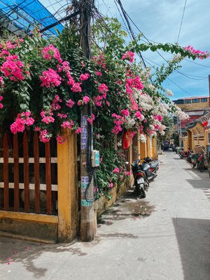 All You Need to Know Travel Guide for the Vibrant City of Hoi An ...