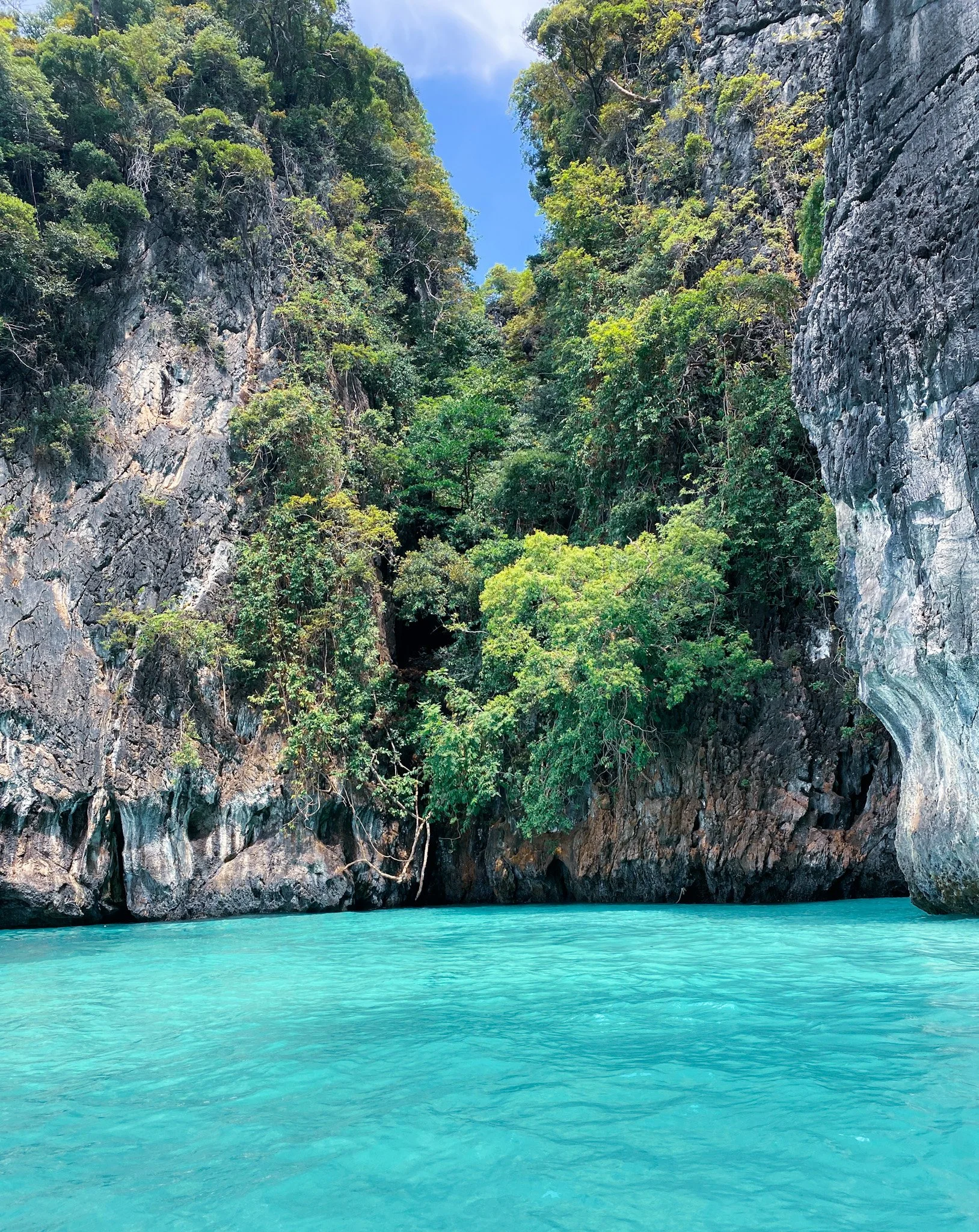 7 Islands Tour Monkey Beach