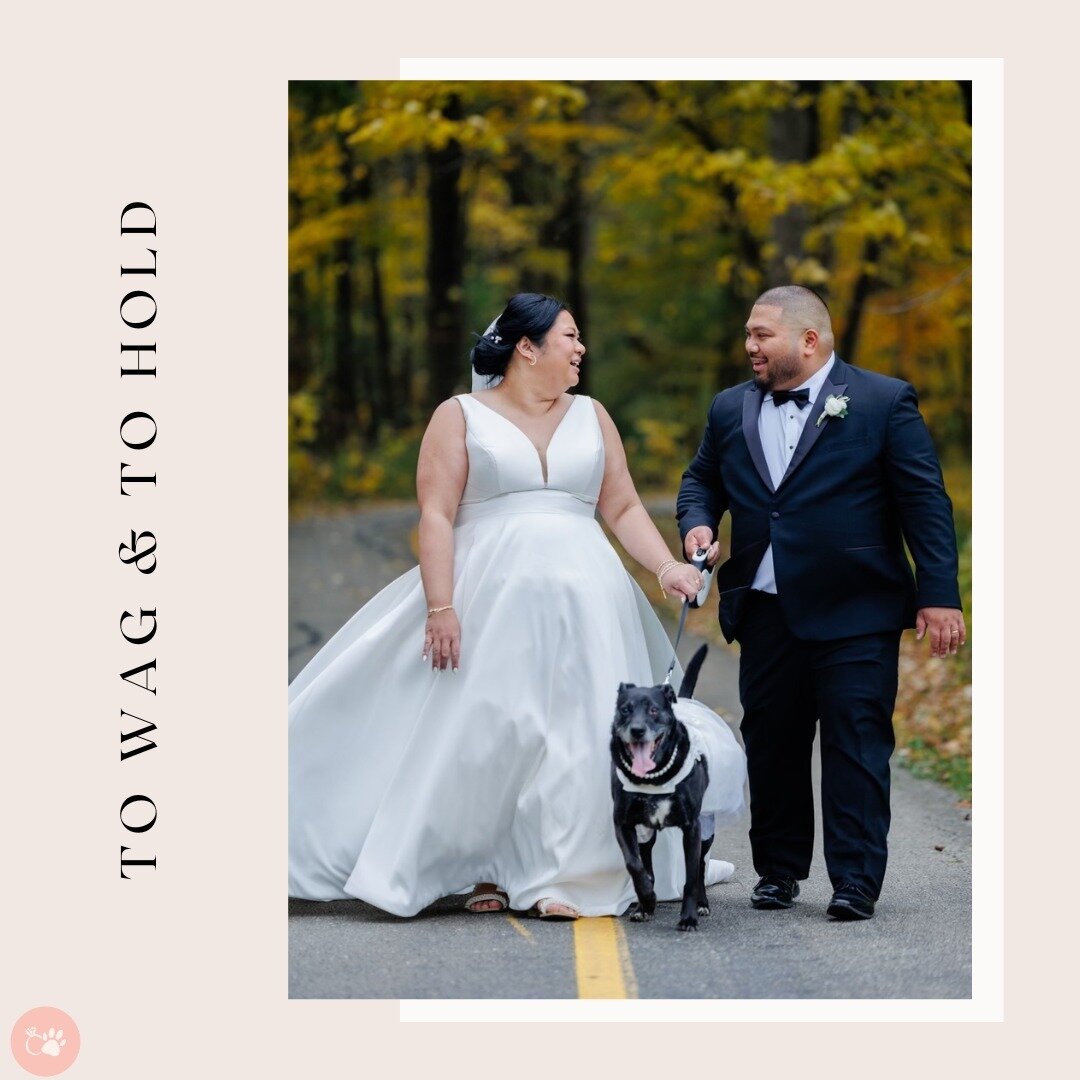 Celebrating my sister's extra special October wedding! 🎉👰🏻&zwj;♀️ My adorable dog niece Ember was part of the photos, creating the sweetest moments that will last forever ❤️

Photo: @juanchoscphotography 
.
.
.
#dogsinweddings #fallwedding #dogsof