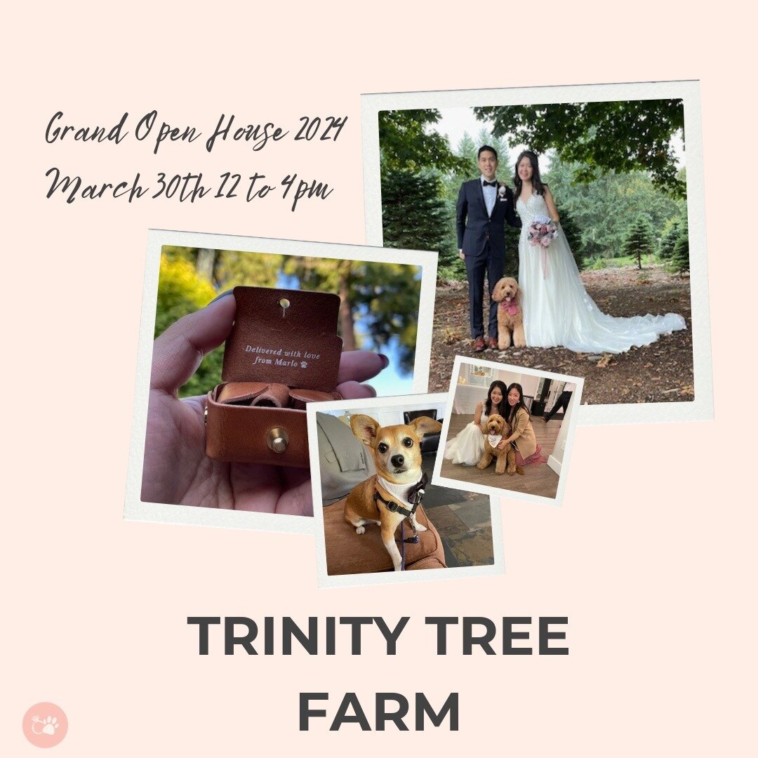 Lucky to be a part of some unforgettable weddings at @trinitytreefarm! 🐾 

Join us tomorrow, March 30th, from 12 to 4pm for their Grand Open House. Swing by and let's chat about making your big day even more paw-some!

#seattleweddings #pnwweddings 