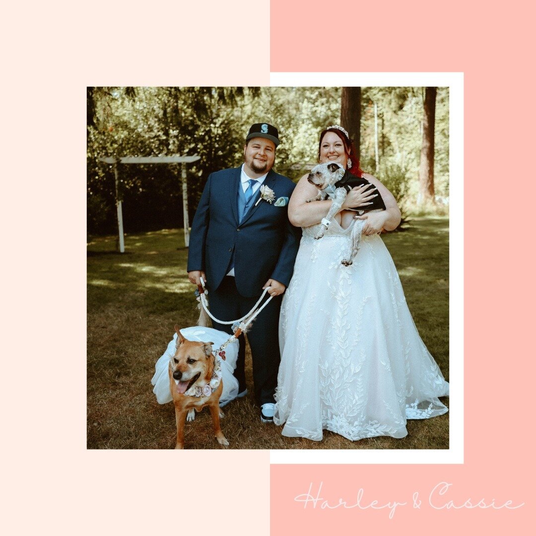 What a celebration with the adorable duo, Harley and Cassie! Watching them shine as the flower girl and ring bearer was an absolute treat and they were of course dressed for the occasion 🫶
.
.
.
#dogsinweddings #flowerdog #bestdog #dogofhonor #seatt