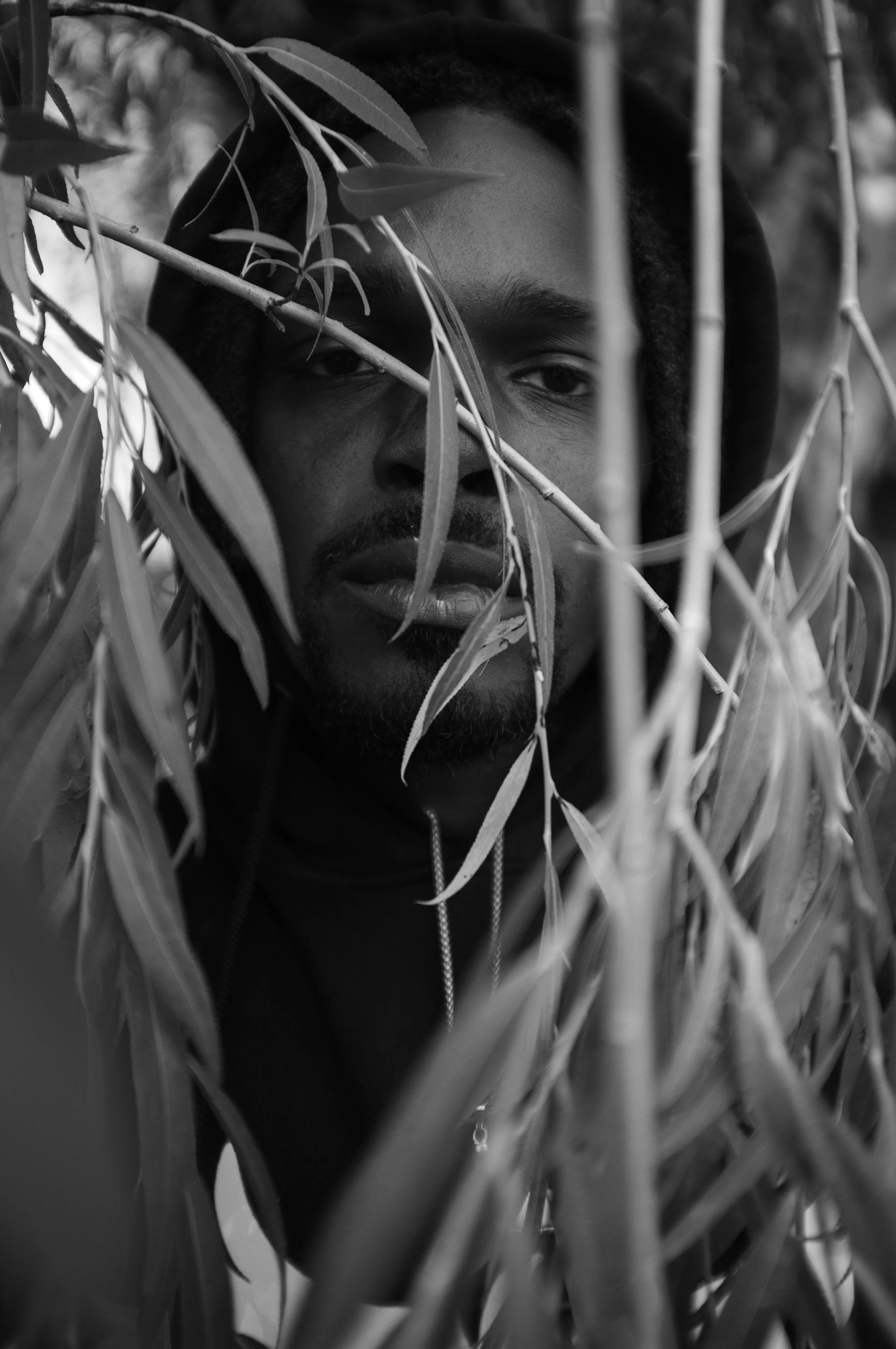 The capacity to withstand or to recover quickly from difficulties. 