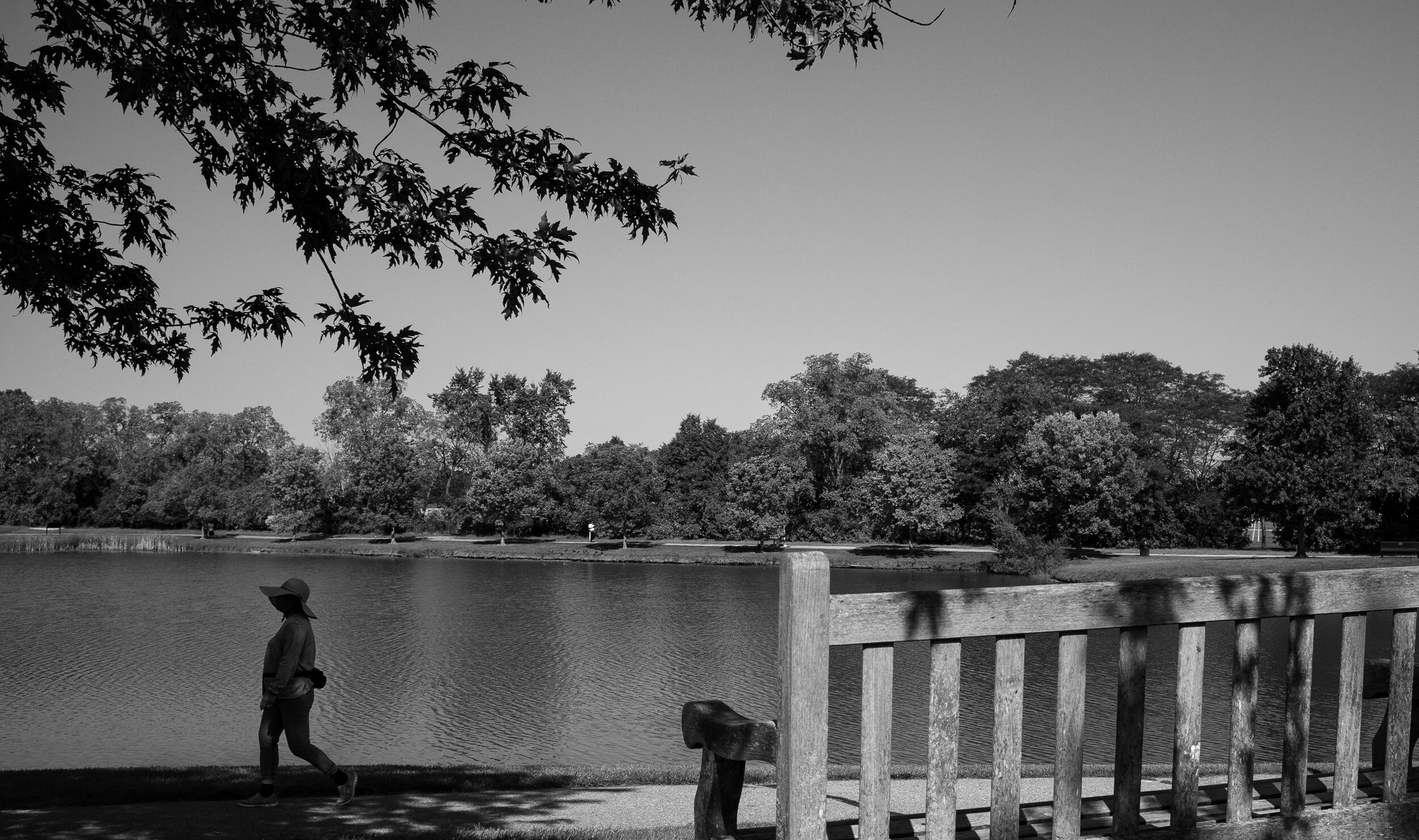 The Woman In The Park