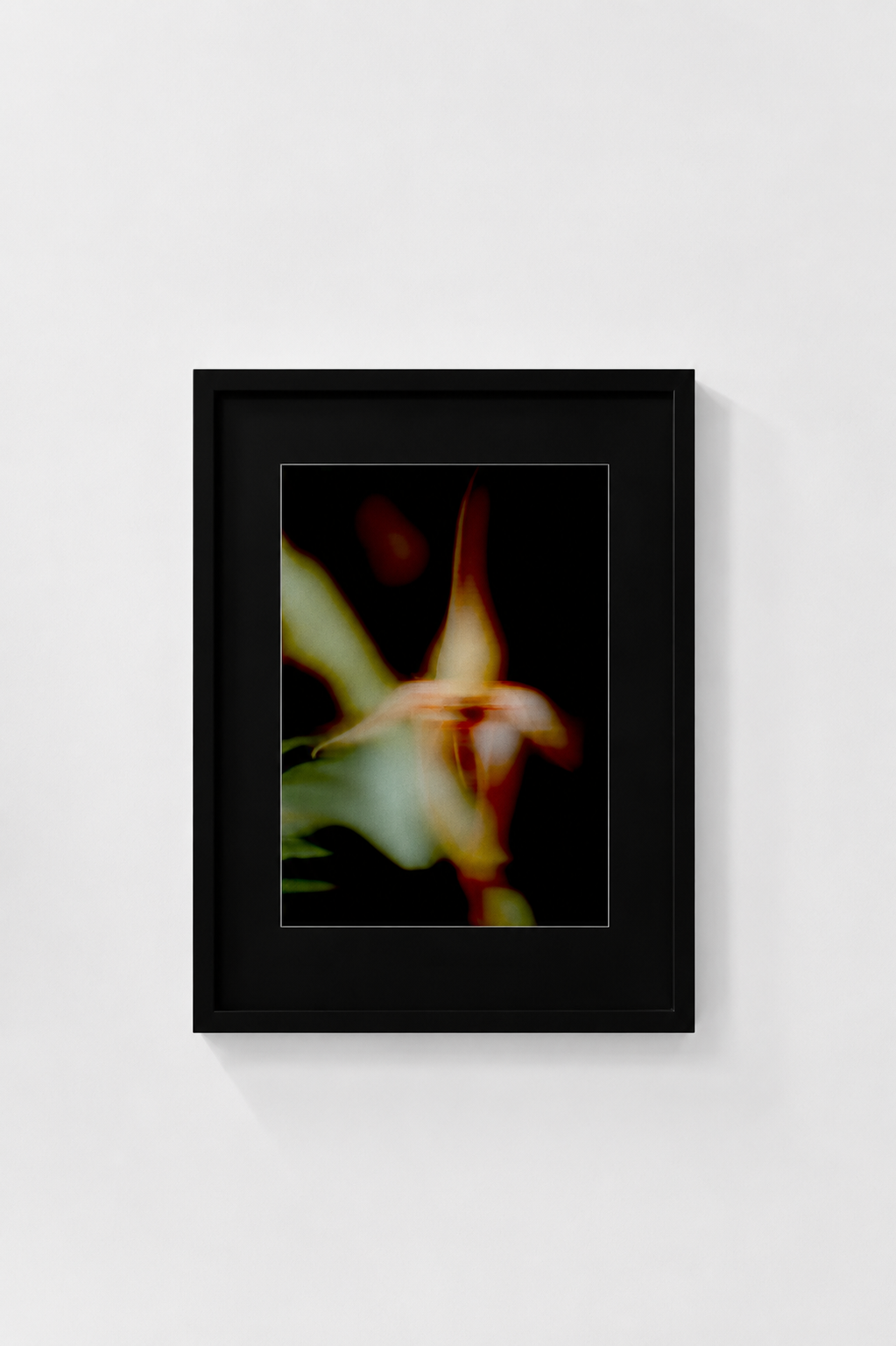 Orchid I - Mock Up.png