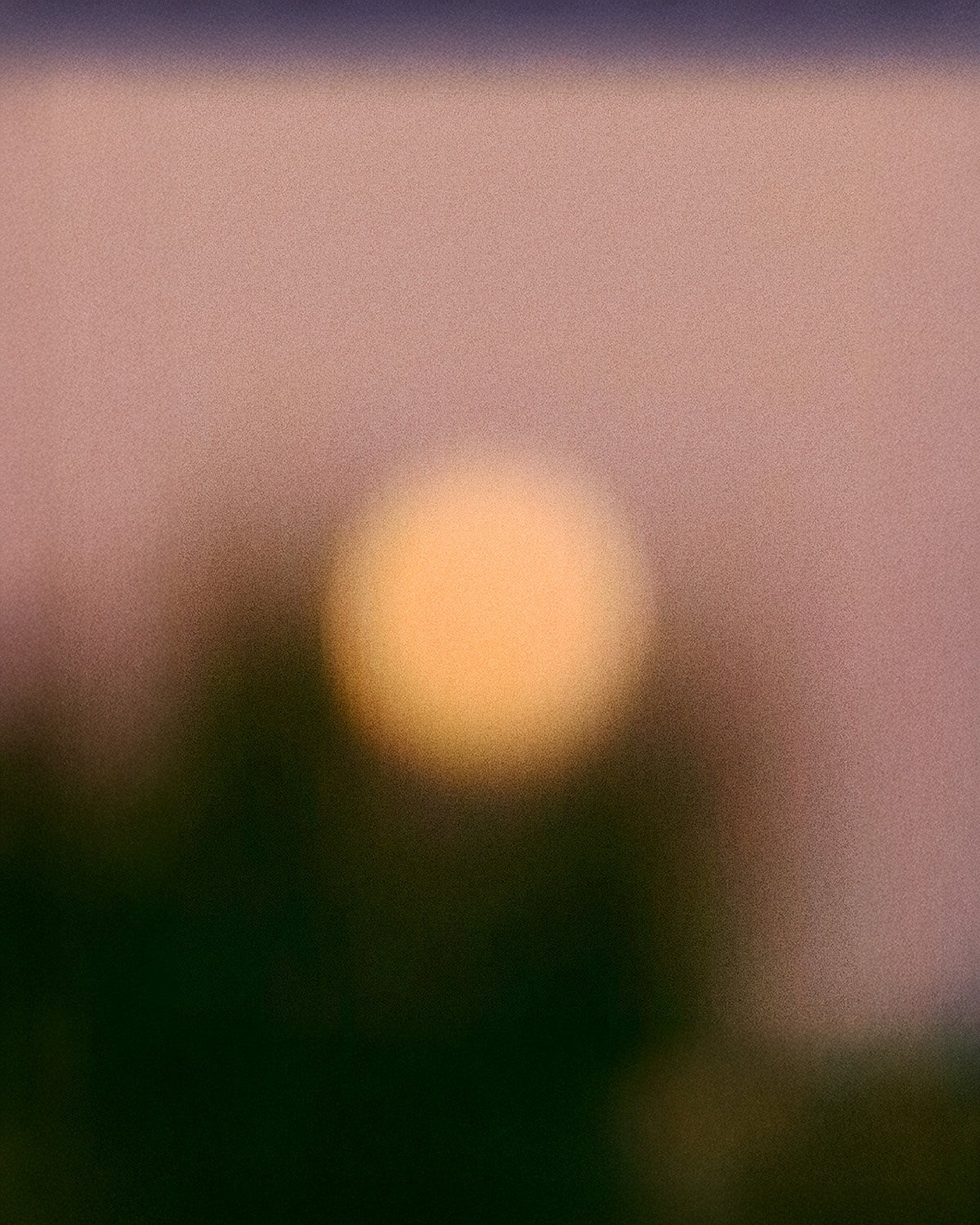 Moonrise
