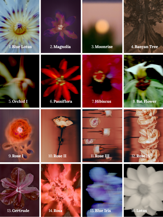 Art Cards by Anna Hooij.png