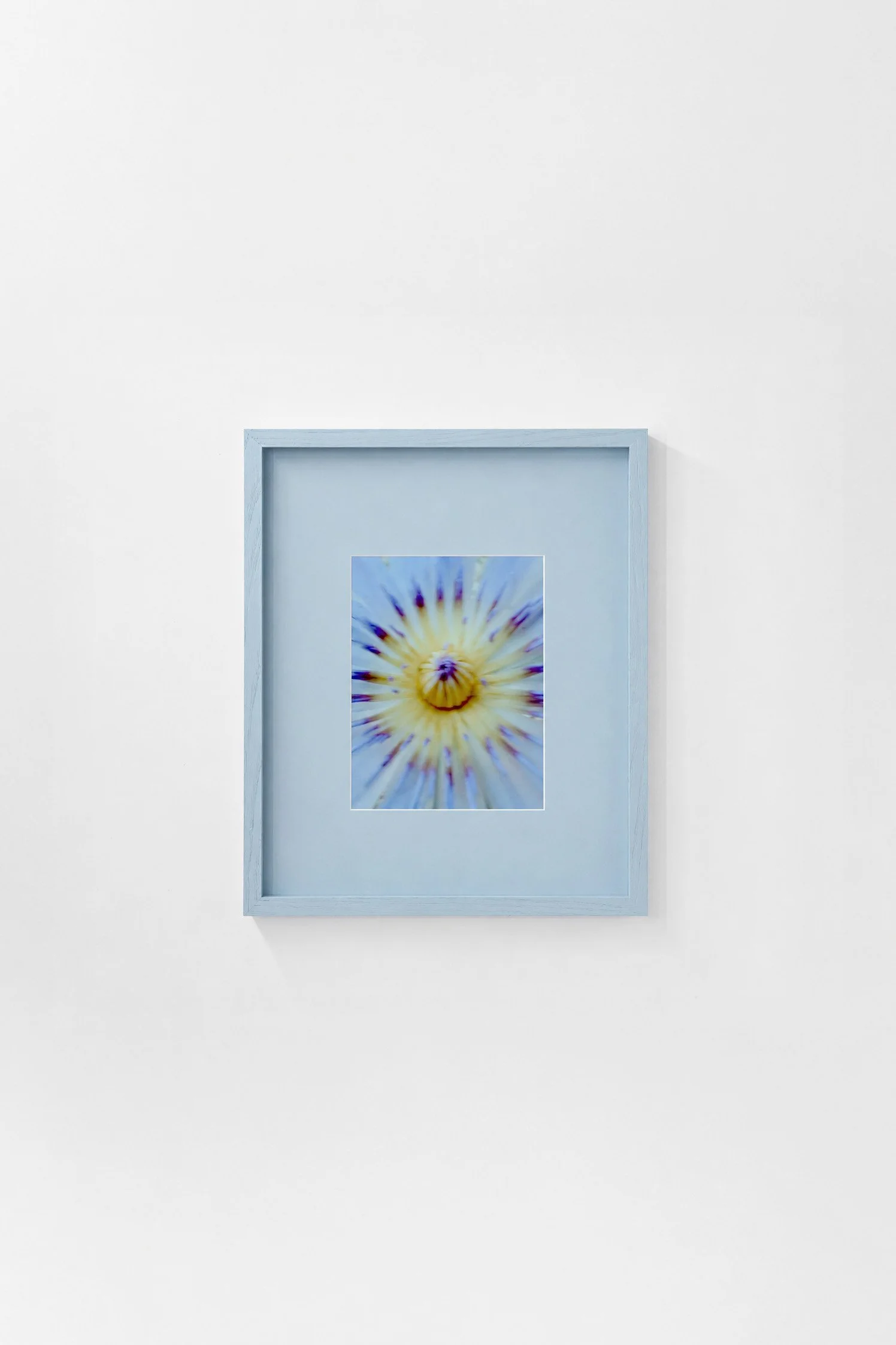 Blue Lotus by Anna Hooij