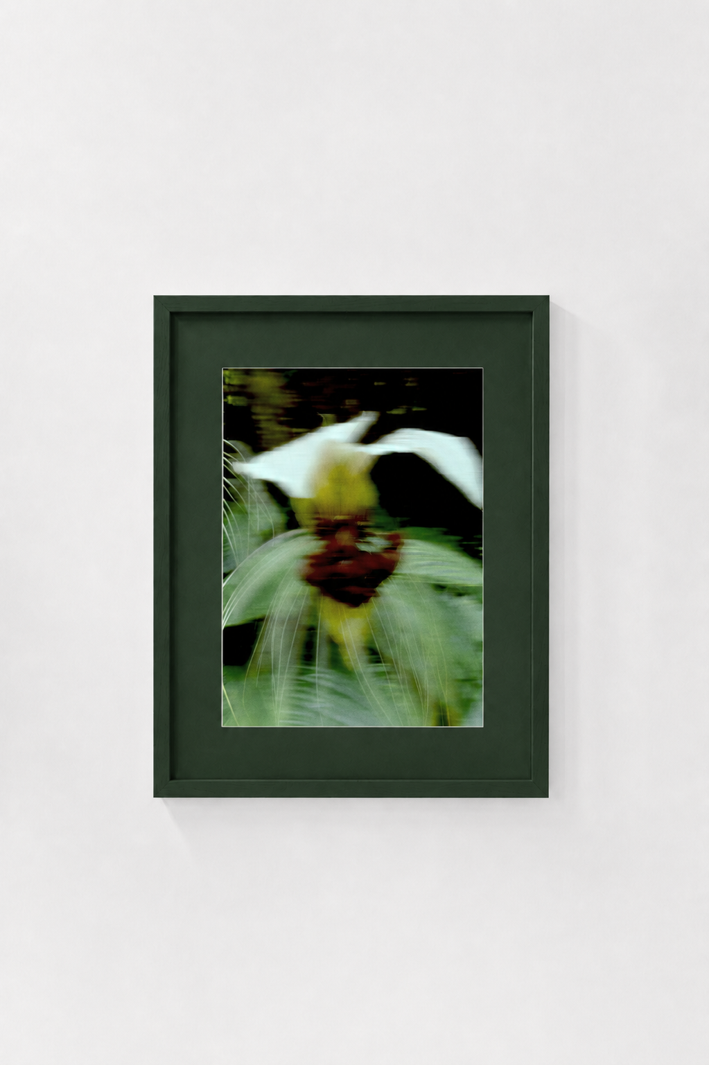 Bat Flower - Mock Up.png