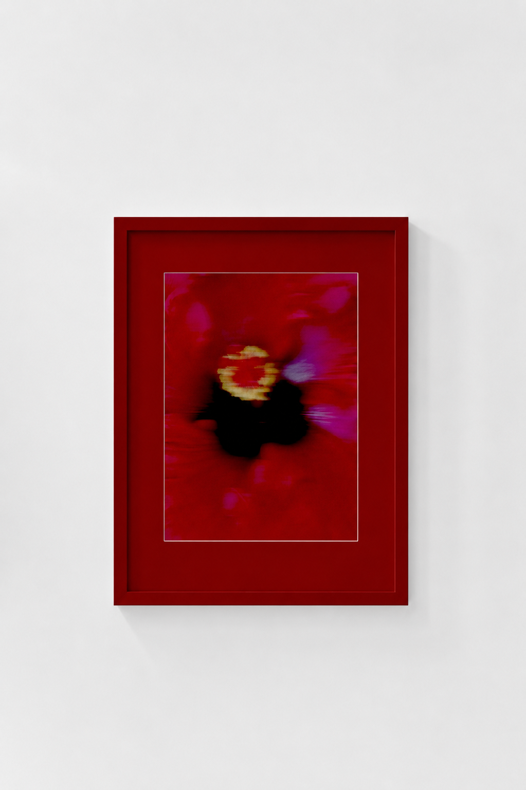 Hibiscus - Mock Up.png