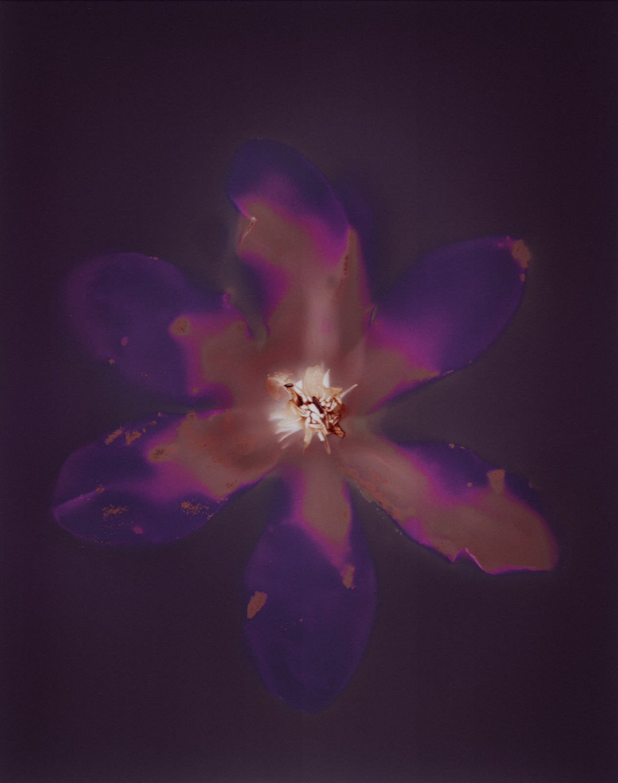 Screenshot 2026-07-01 at 21.10.39.png