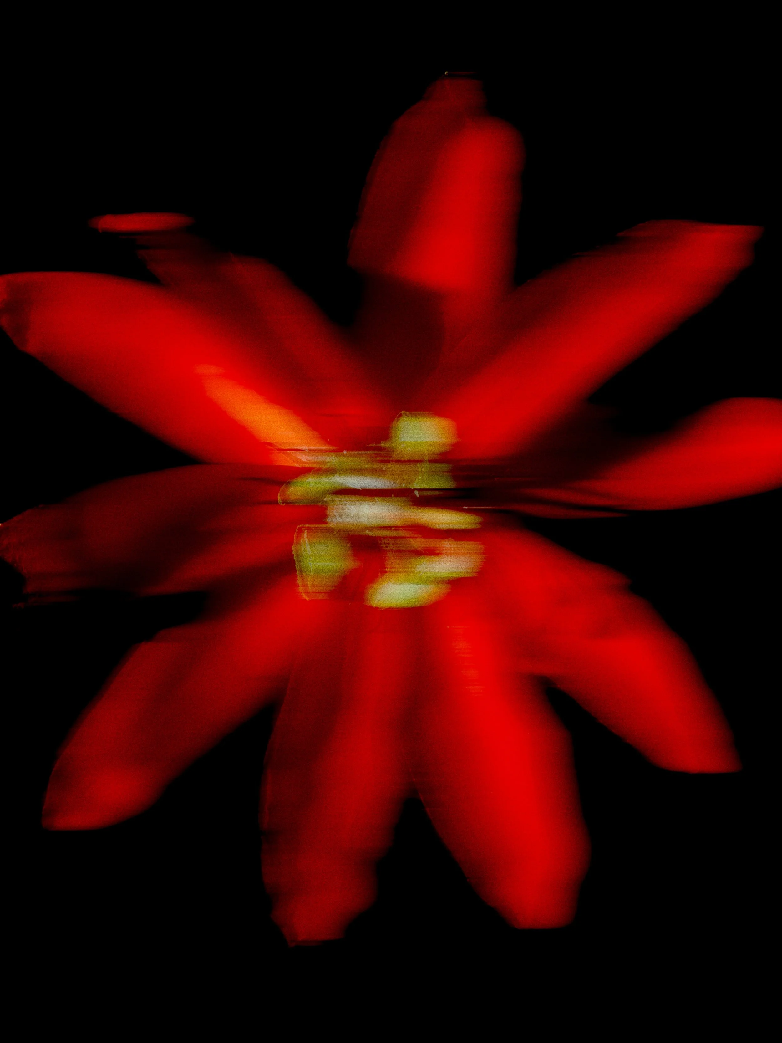 B480D22D-90C3-4D50-A1E1-896FF739142C-labbet-app.JPG