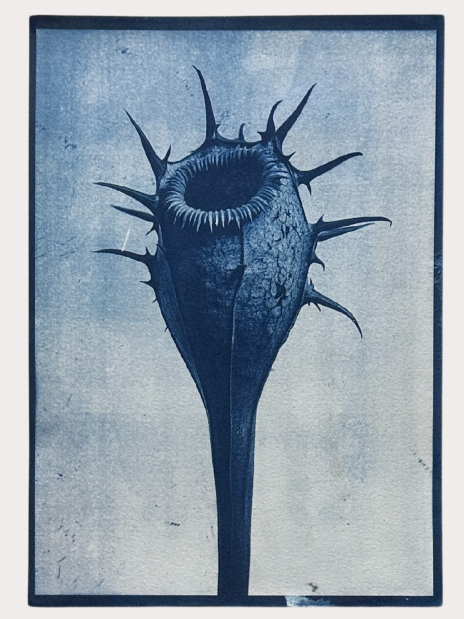 Squarespace portfolio images (1).png