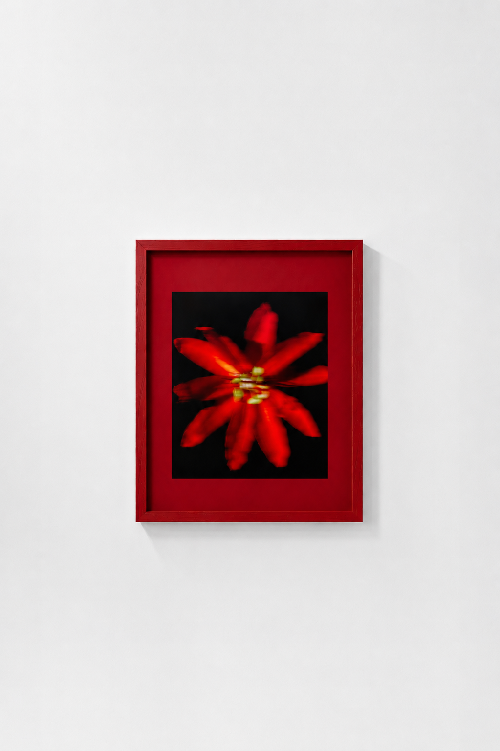 Passiflora Racemosa Mock Up.png