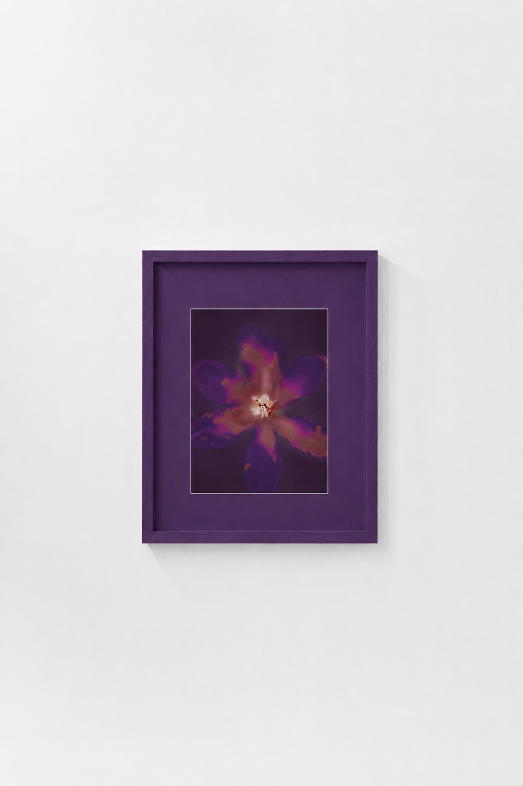 Mangolia - Mock Up.png