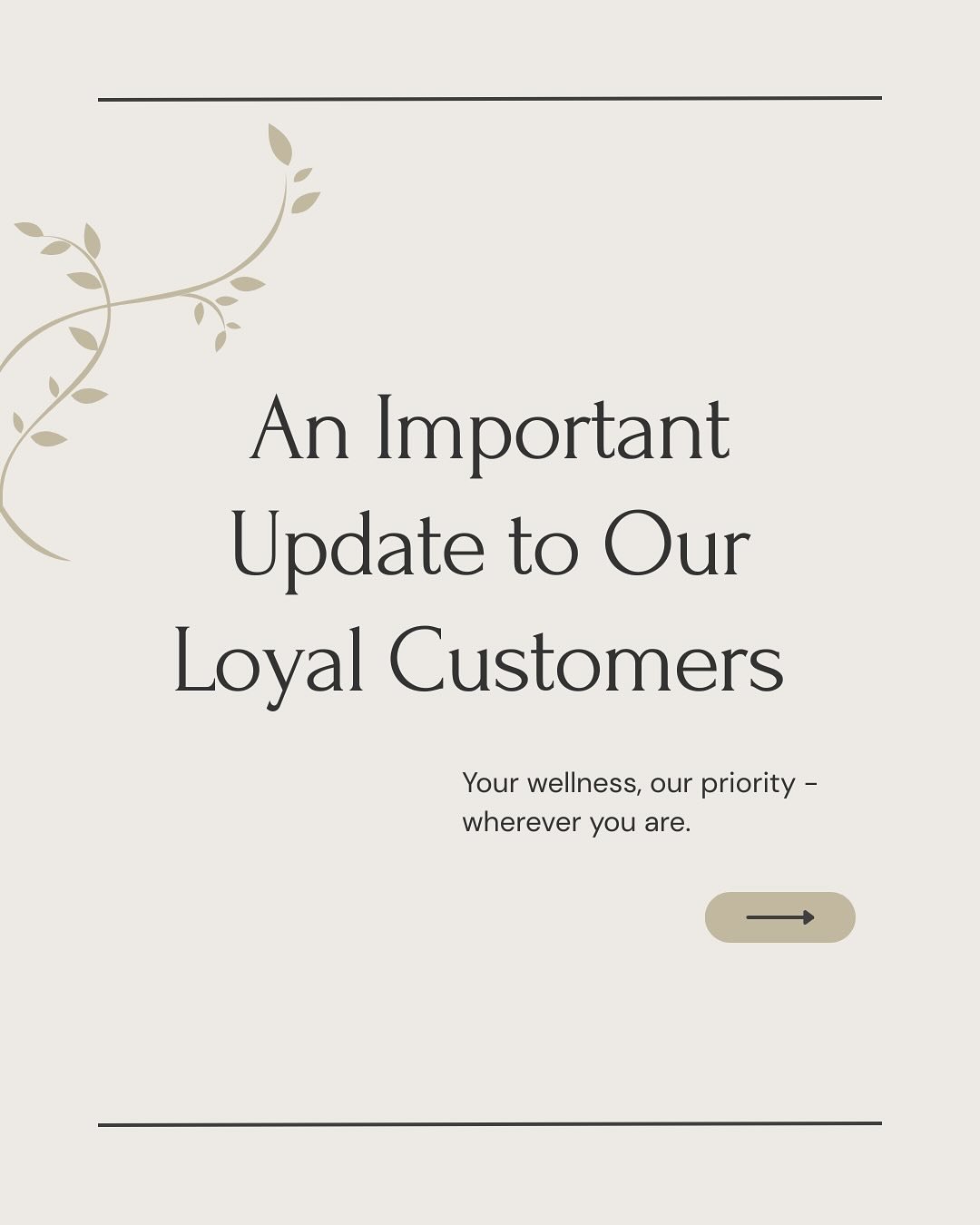 A Heartfelt Update from The Vine 🤍

Due to unforeseen circumstances at our current location, we will no longer be operating from our downtown Burlington location - effective immediately. 

During this transition, our mission remains the same: to pro