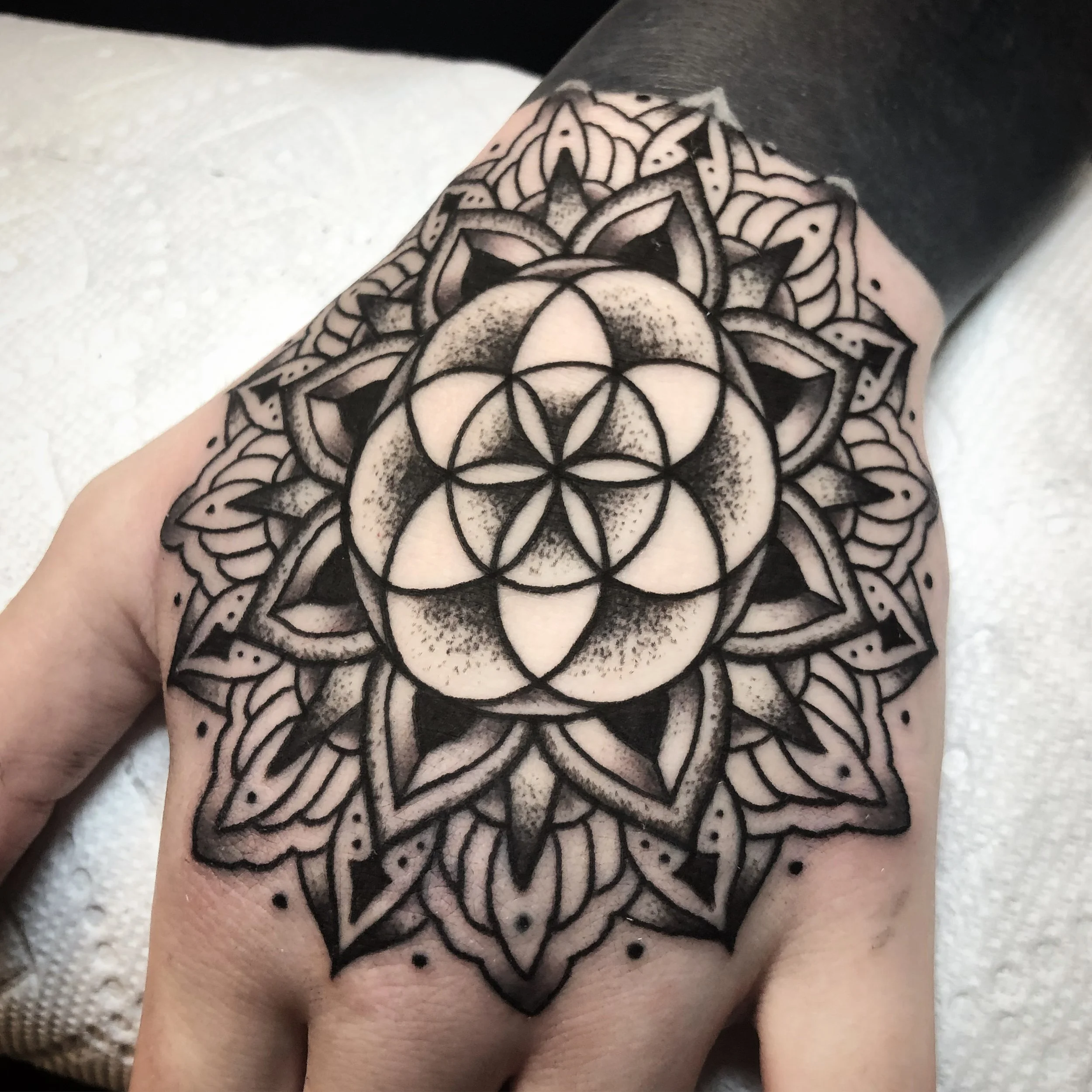 AA96A0FD-34BC-4FE4-9A0B-77D90452B642 2.JPG