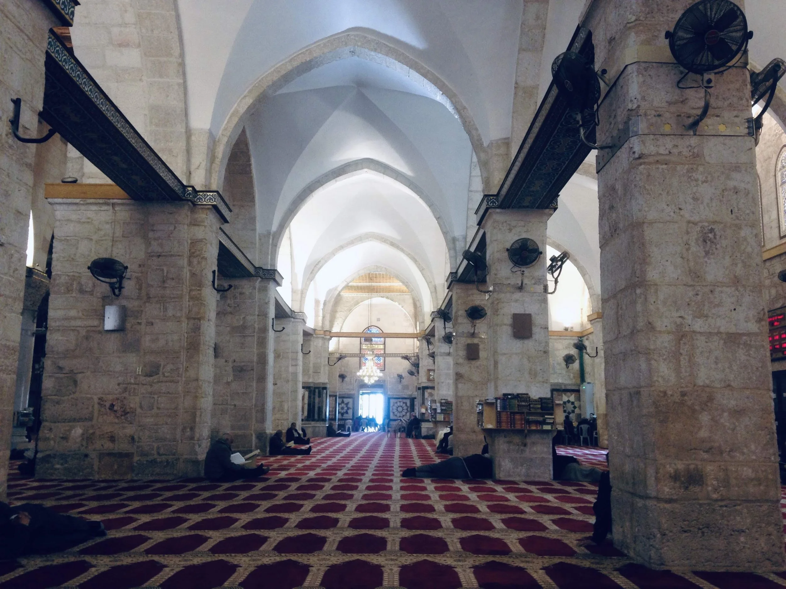 IMG_7712_Original.JPG