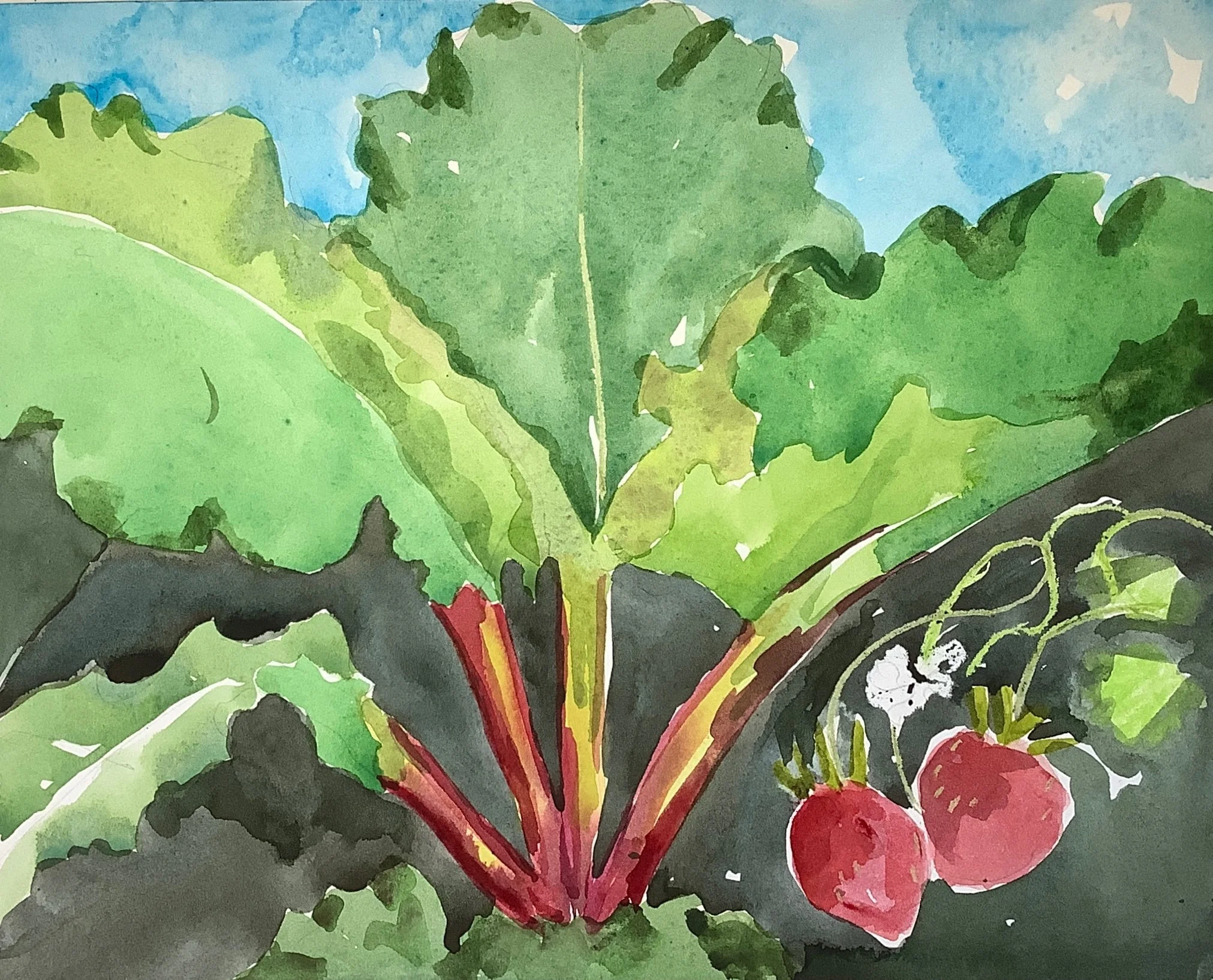 Rhubarb And Strawberries, Julia Gittes, Watercolor, $150.
