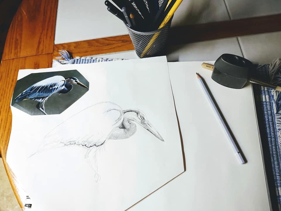 Drawing From Nature: Pencil Illustration Workshop with Asia Scudder