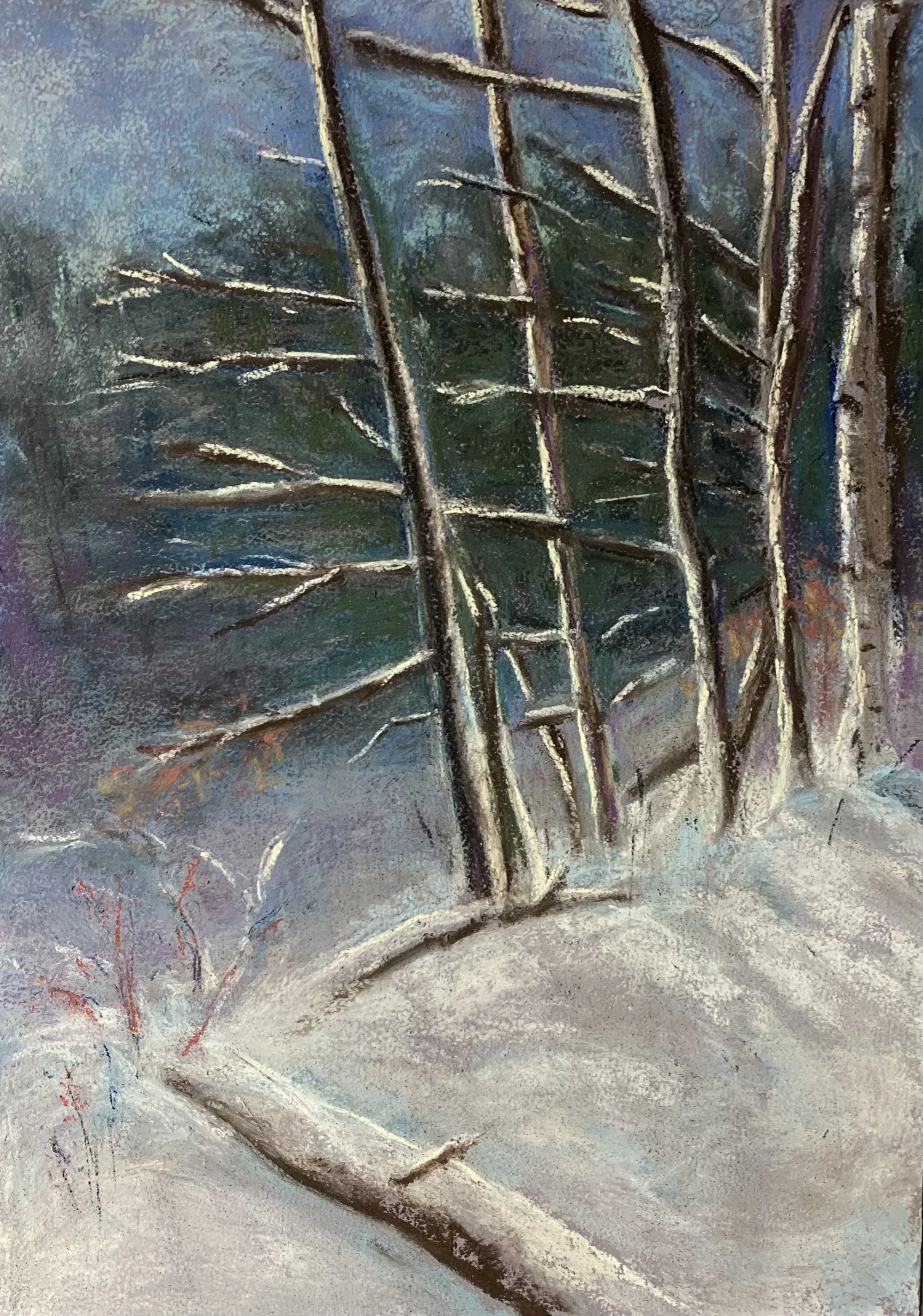 Woods Winter Radiance, Nancy Beck Silverman, Pastel, $175.