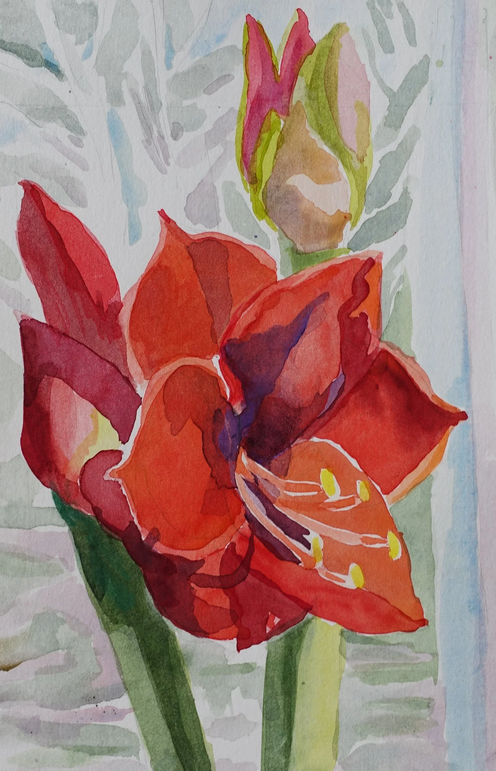 Amaryllis, Julia Gittes, Watercolor, $175.