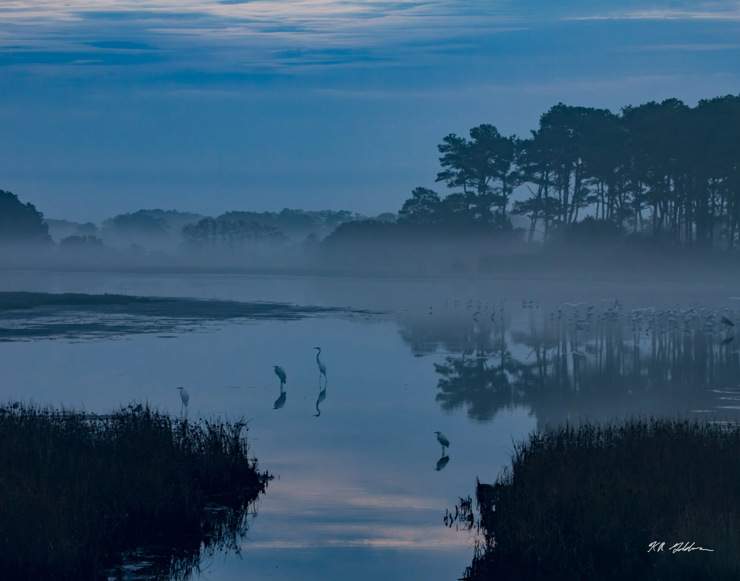 Morning, Ken Goldman, Photograph on Archival Paper, $225.