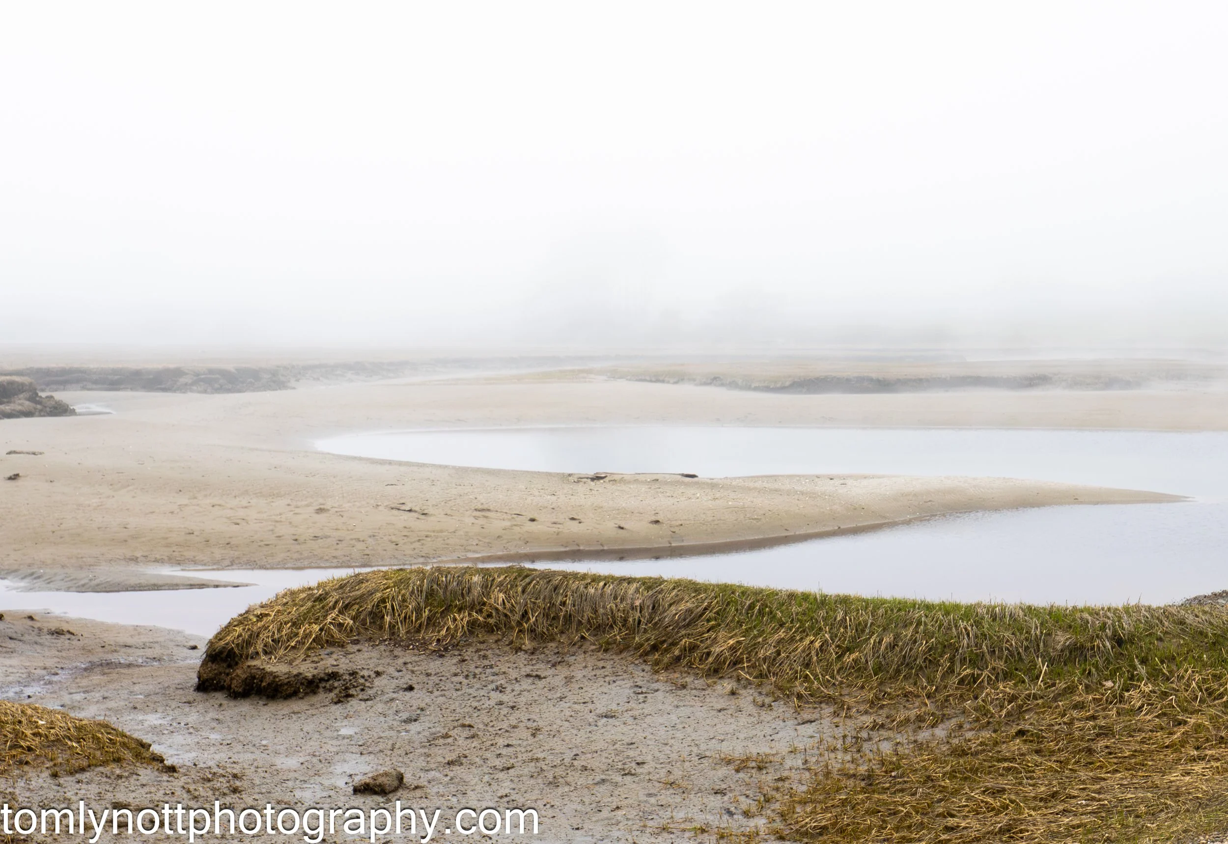 Tidal Flat In Fog, Tom Lynott, Photograph, $100.
